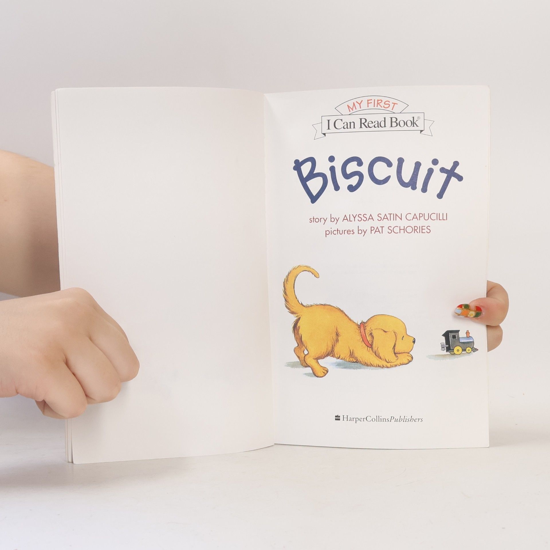 Alyssa Satin Capucilli Biscuit