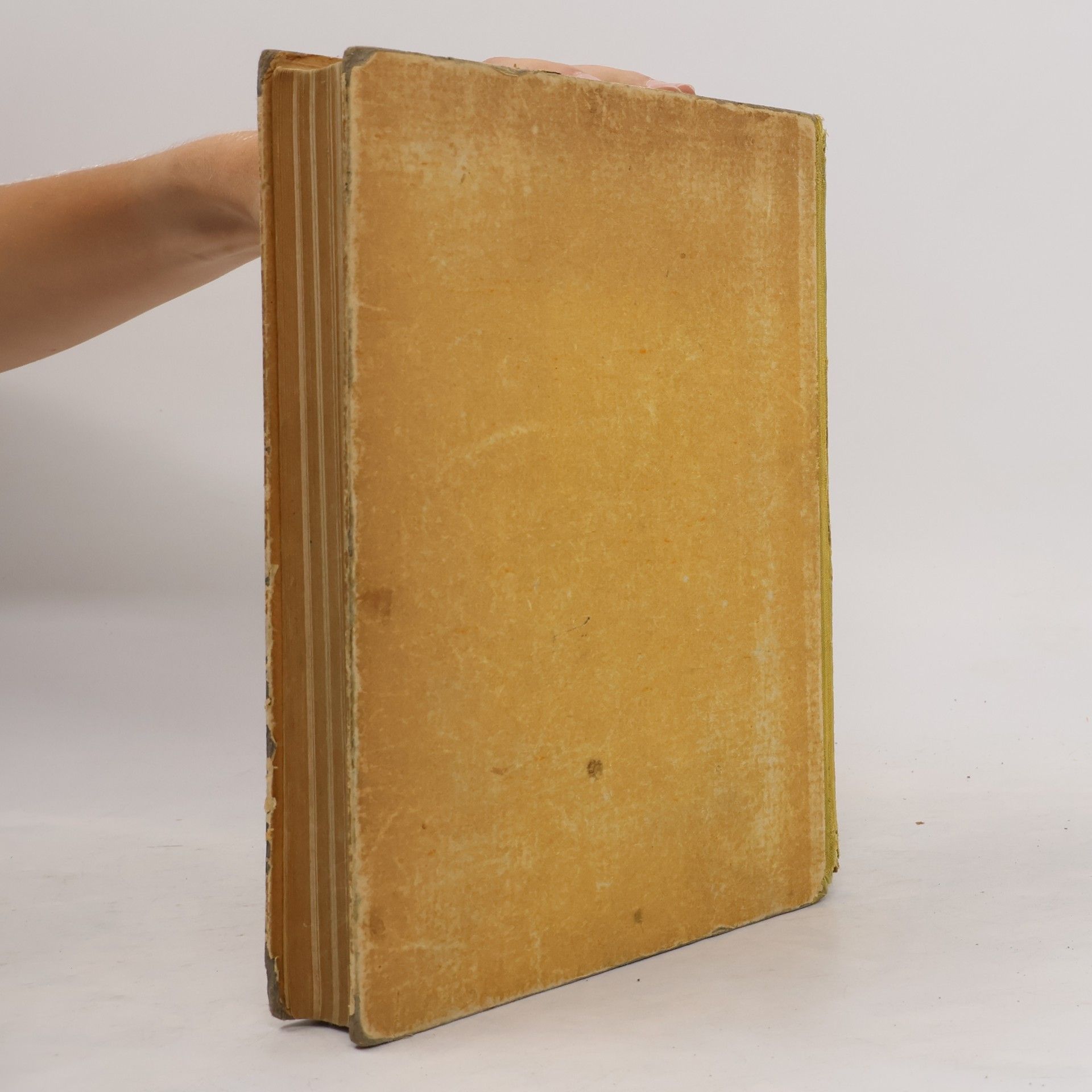 Wilhelm H. Westphal Physik. Ein Lehrbuch für Studierende