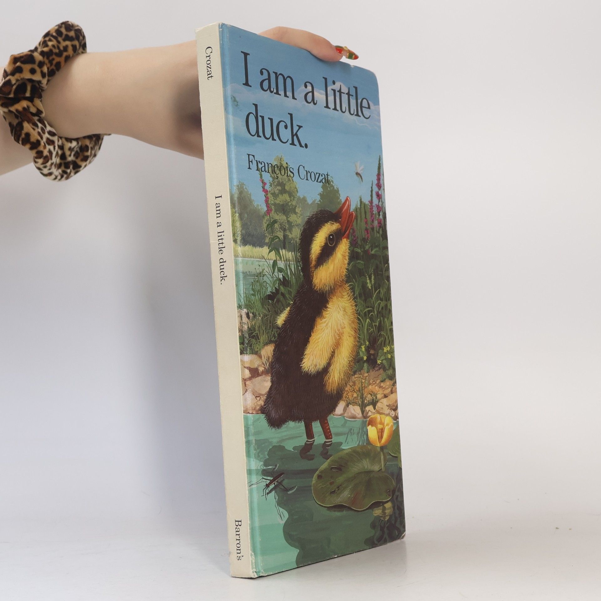 Barron's Little Animal Series: I Am a Little Duck