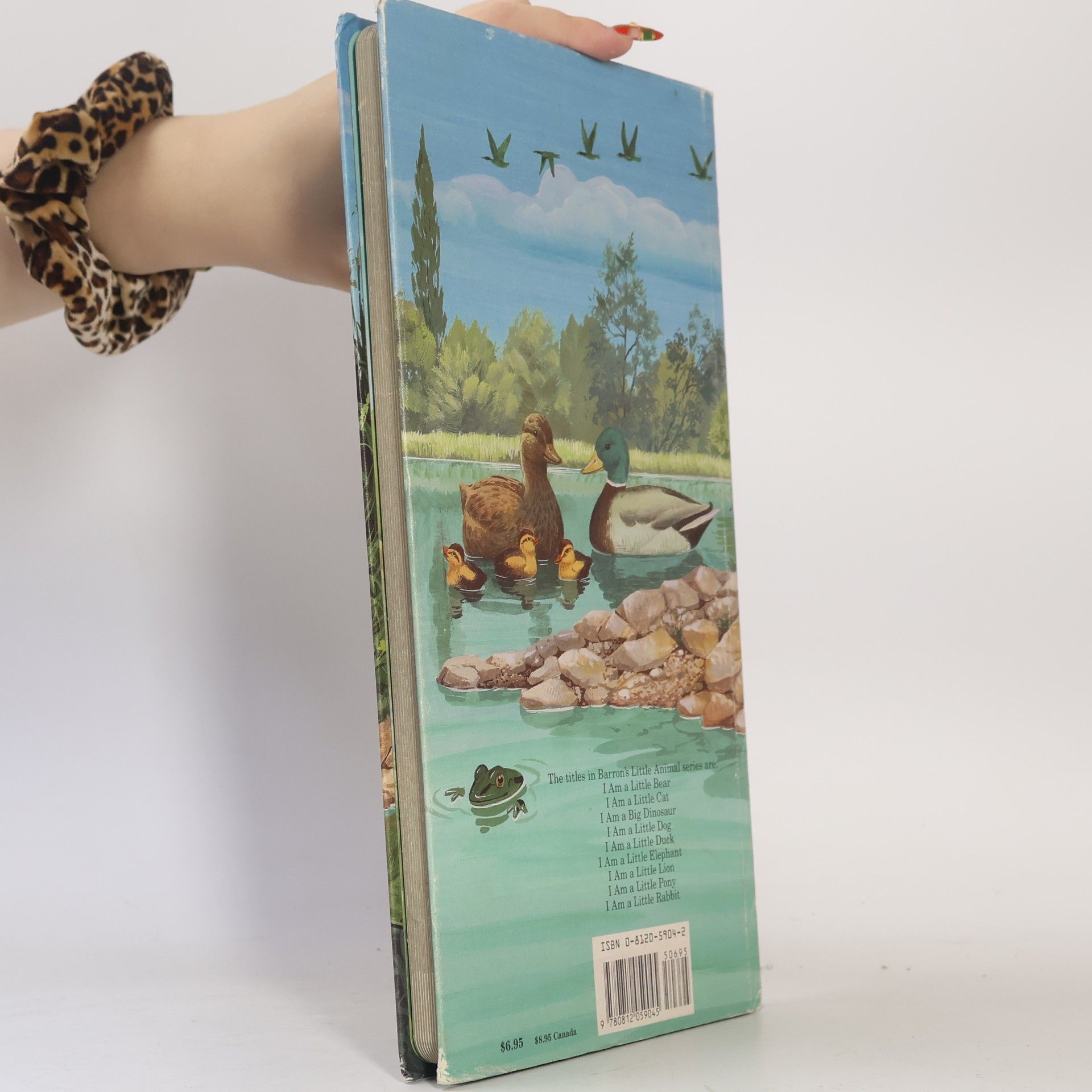 François Crozat Barron's Little Animal Series: I Am a Little Duck