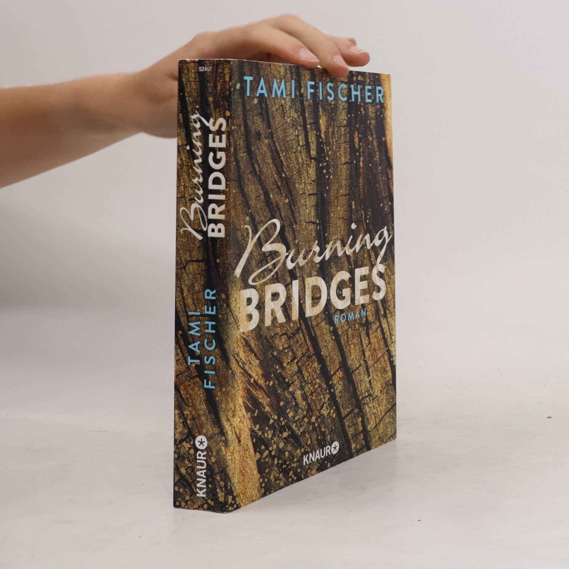 Tami Fischer Burning bridges