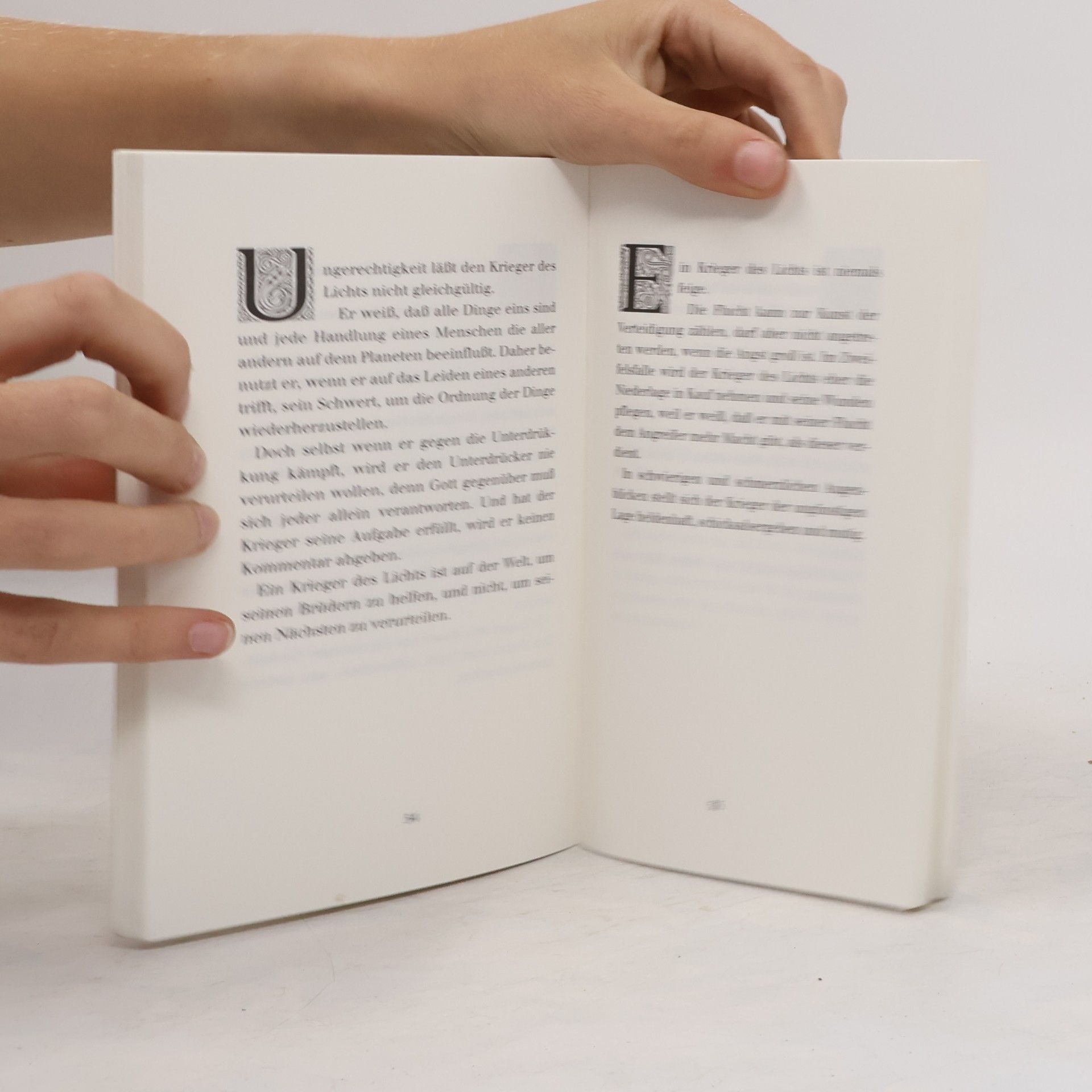 Paulo Coelho Handbuch des Kriegers des Lichts