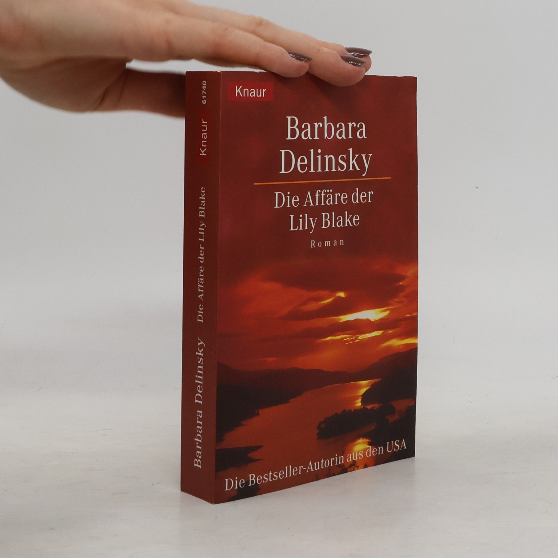 Barbara Delinsky Die Affäre der Lily Blake