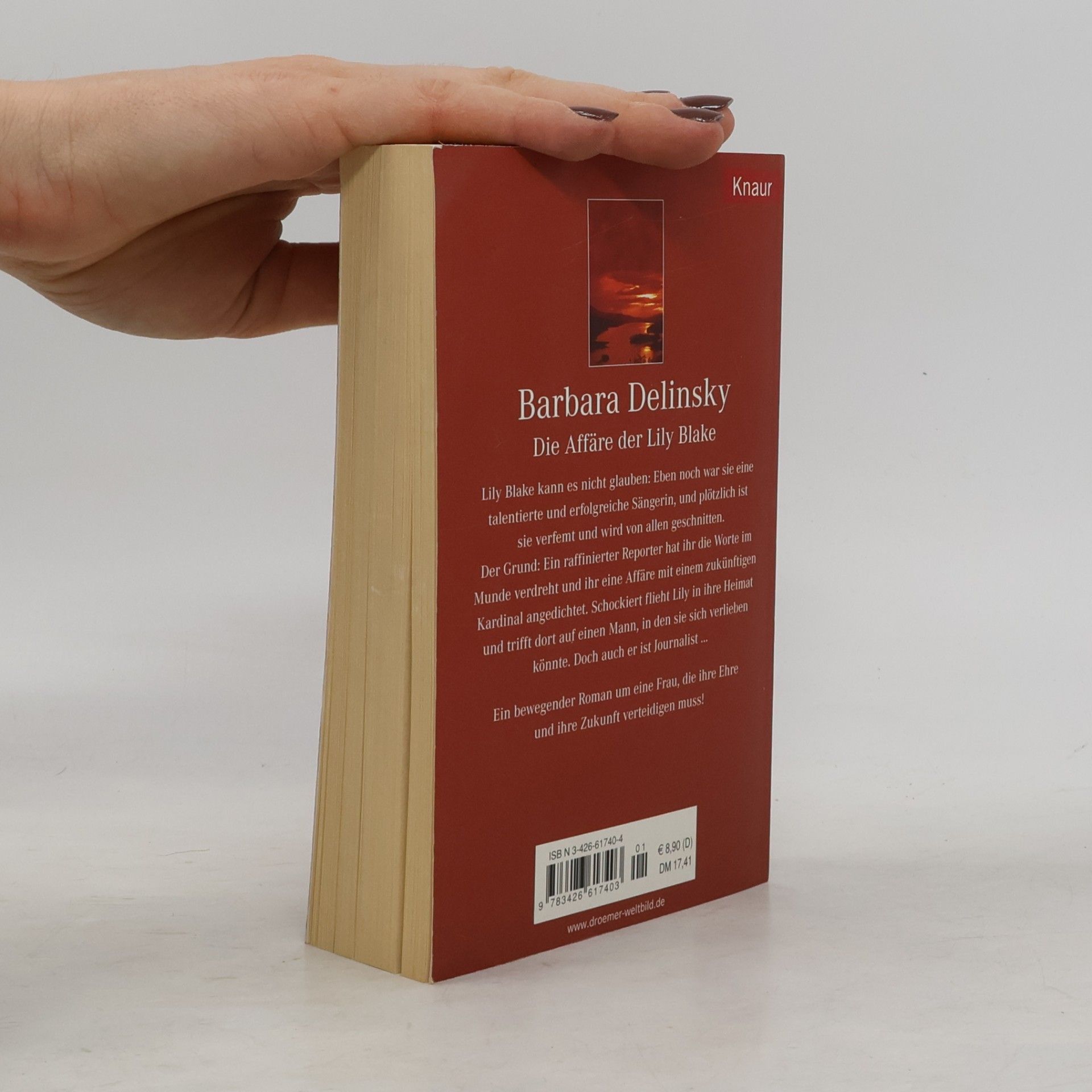 Barbara Delinsky Die Affäre der Lily Blake