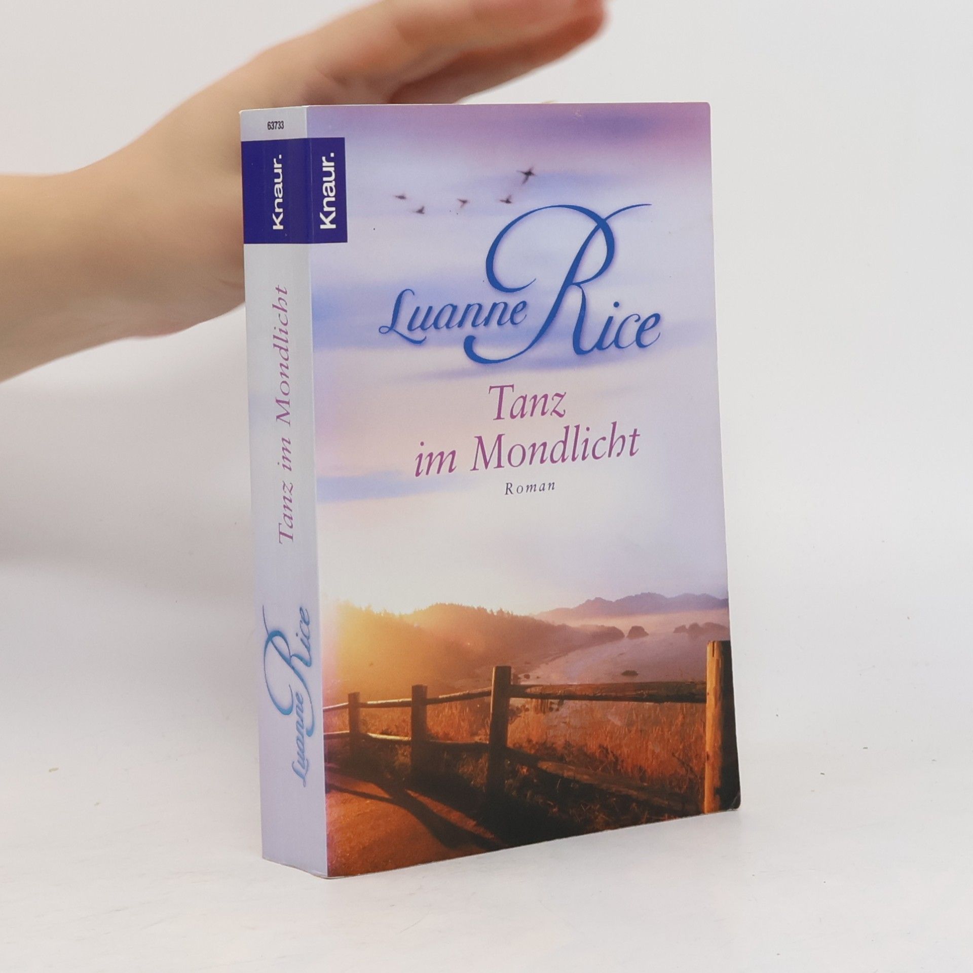 Luanne Rice Tanz im Mondlicht
