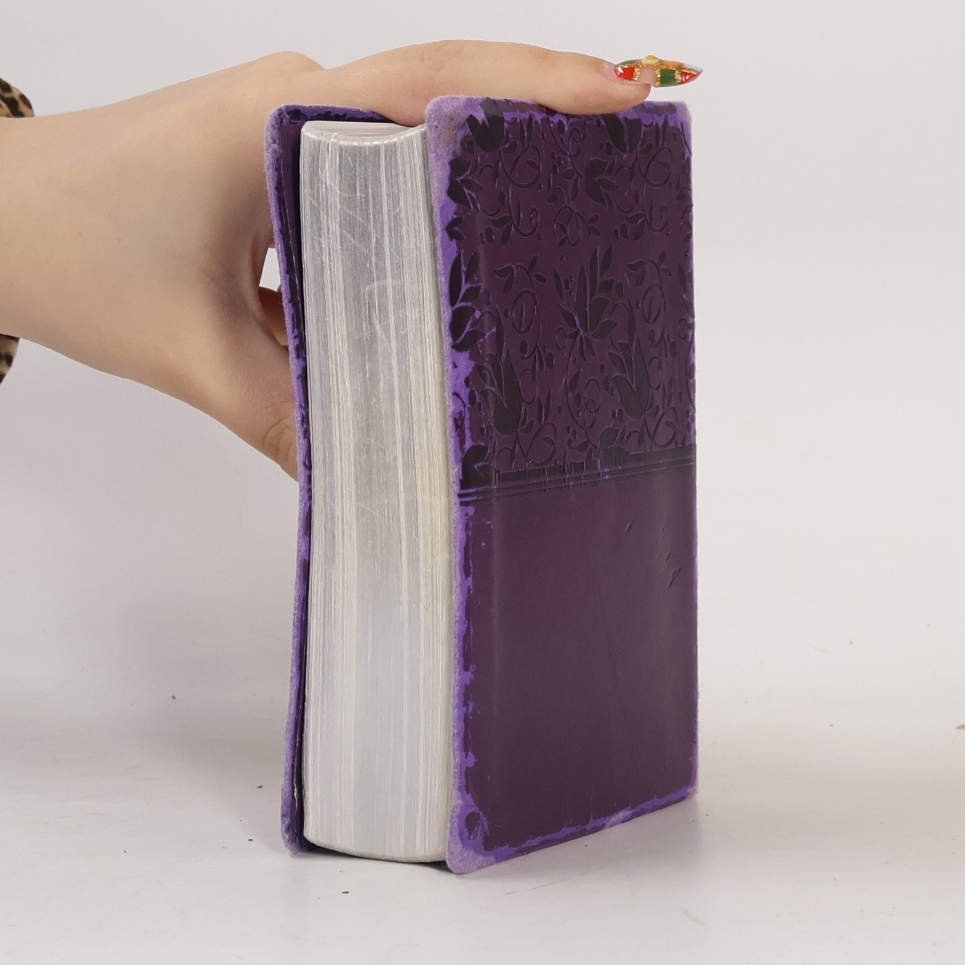 Autorenkollektiv Holy Bible