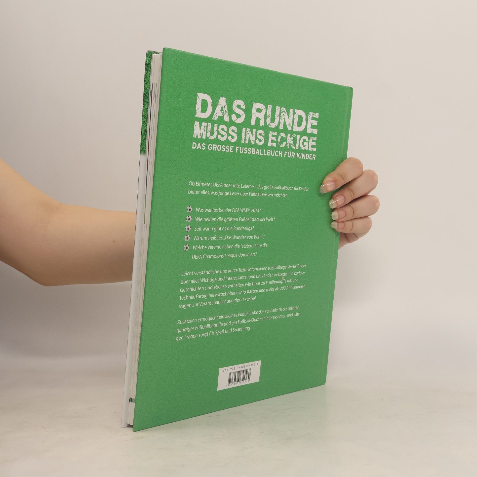 Birgit Brauburger Das Runde muss ins Eckige