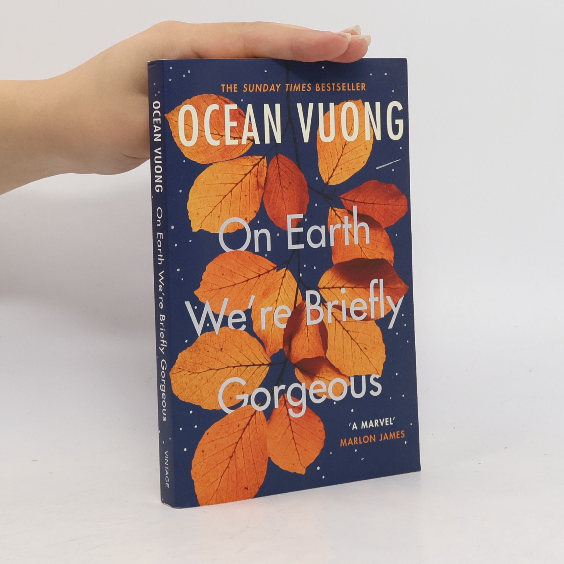 Ocean Vuong On Earth We're Briefly Gorgeous