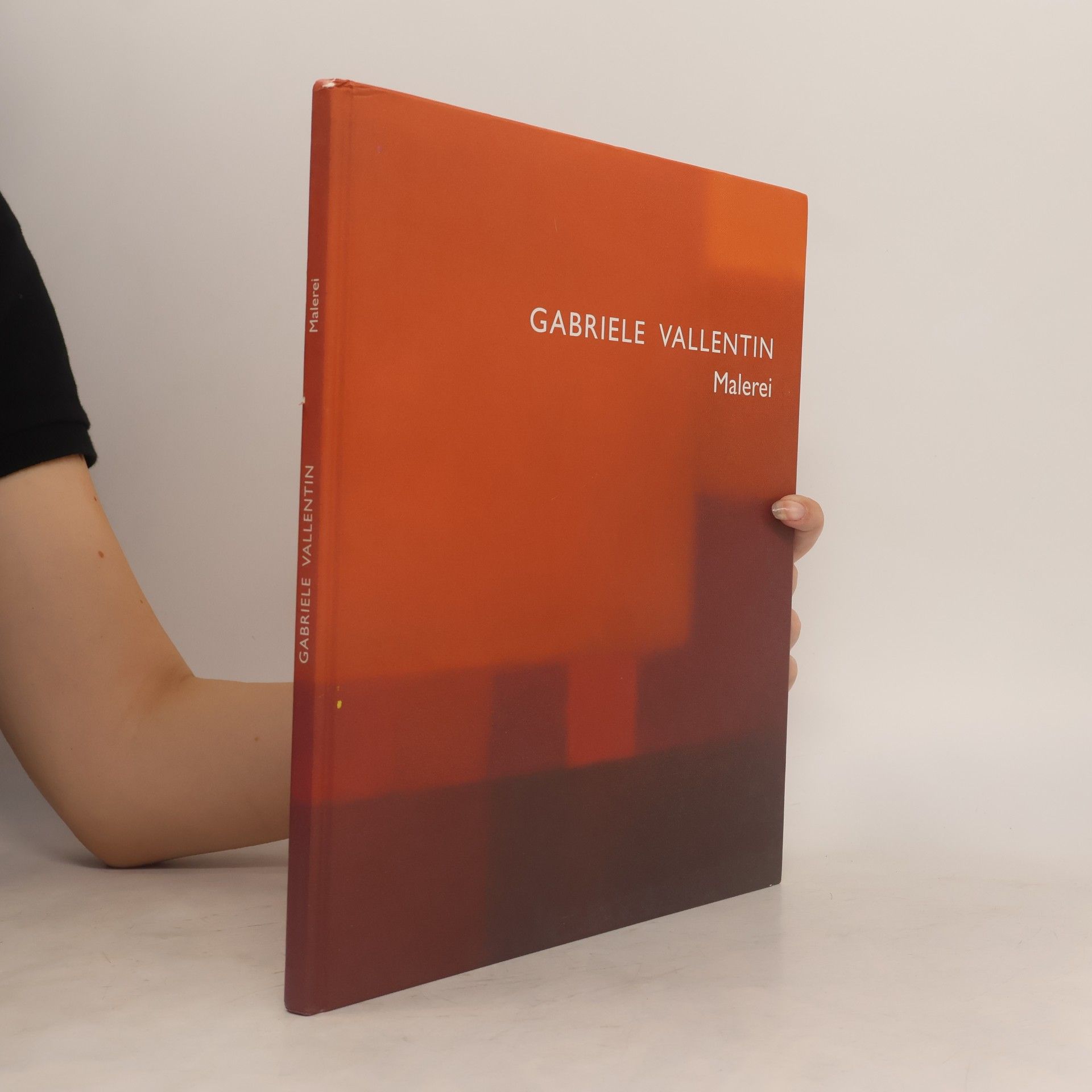 Gabriele Vallentin Malerei