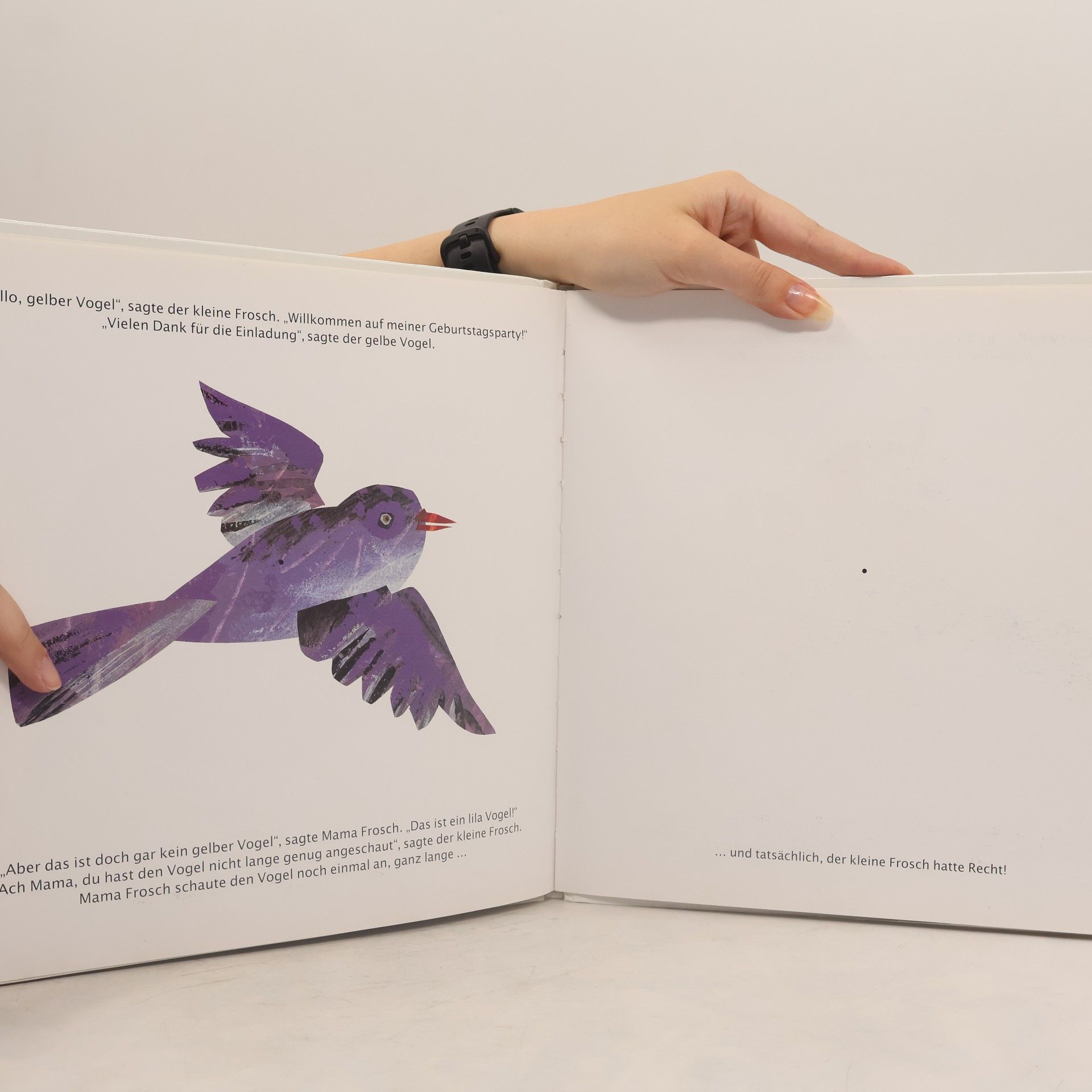 Eric Carle Hallo, roter Fuchs