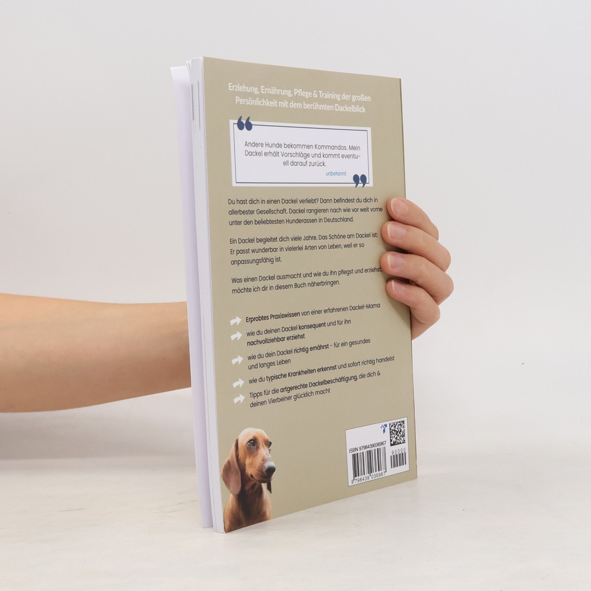 Anna Simon Praxiswissen Dackel: Dein Dackel Buch