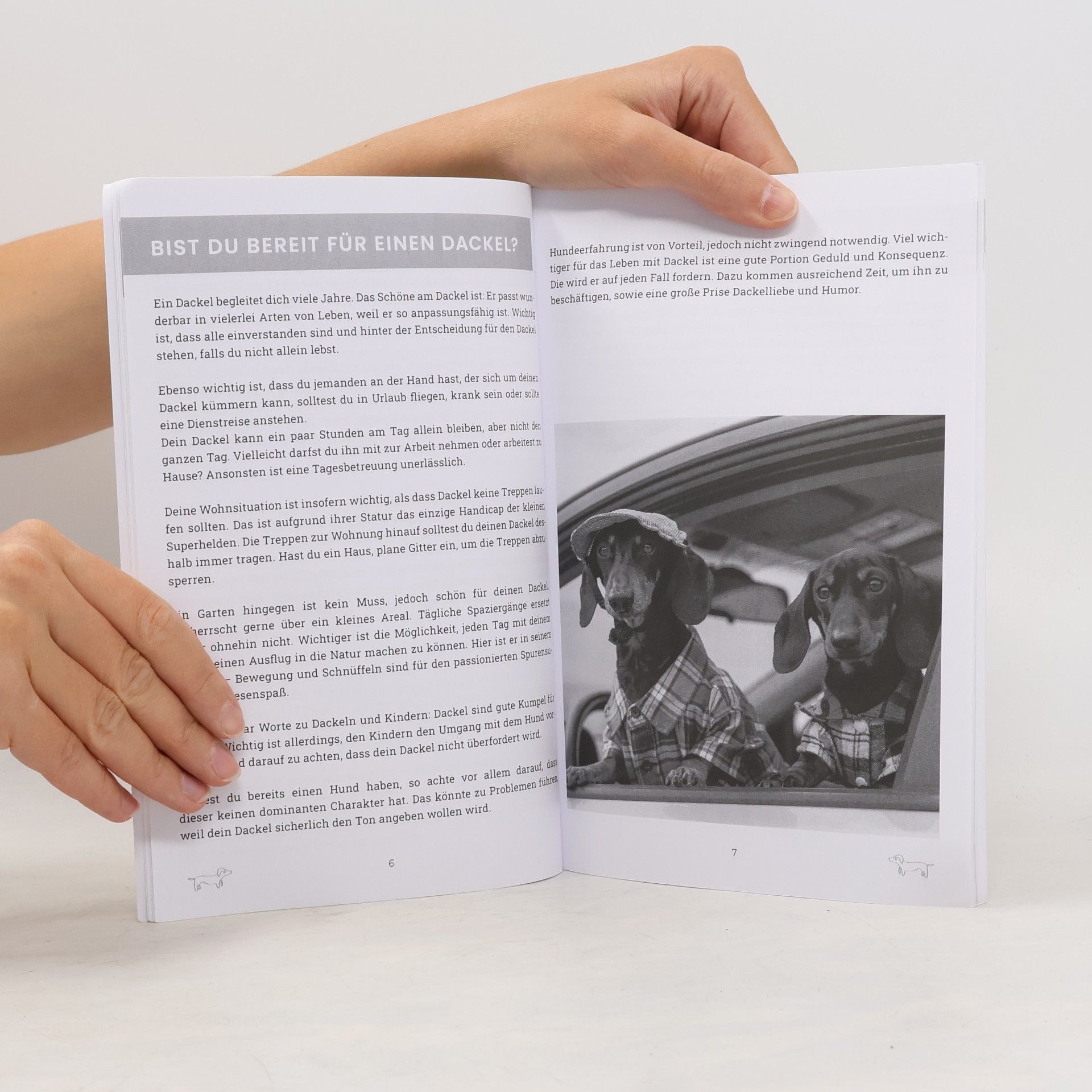 Anna Simon Praxiswissen Dackel: Dein Dackel Buch