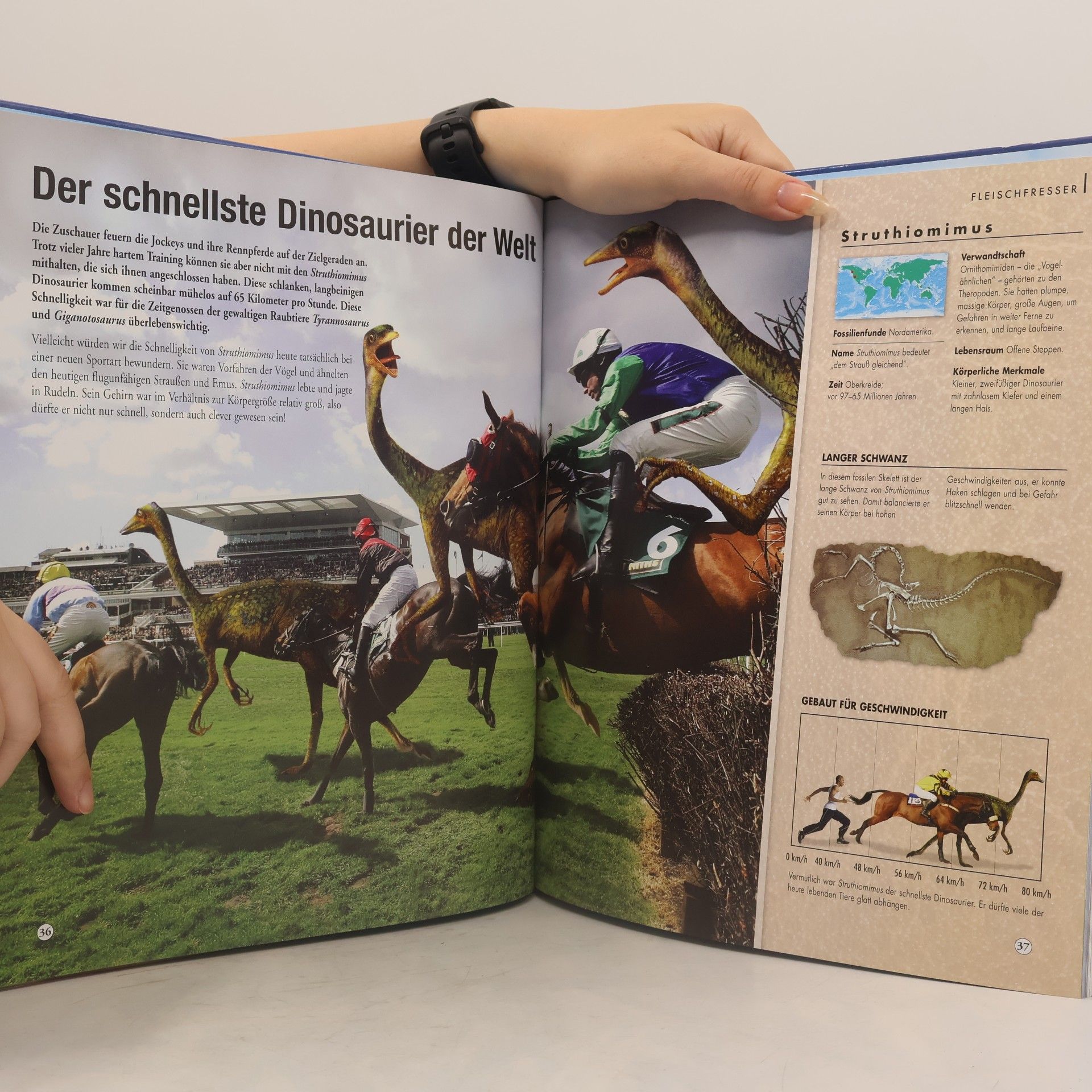 Autorenkollektiv Wenn die Dinosaurier noch Lebten