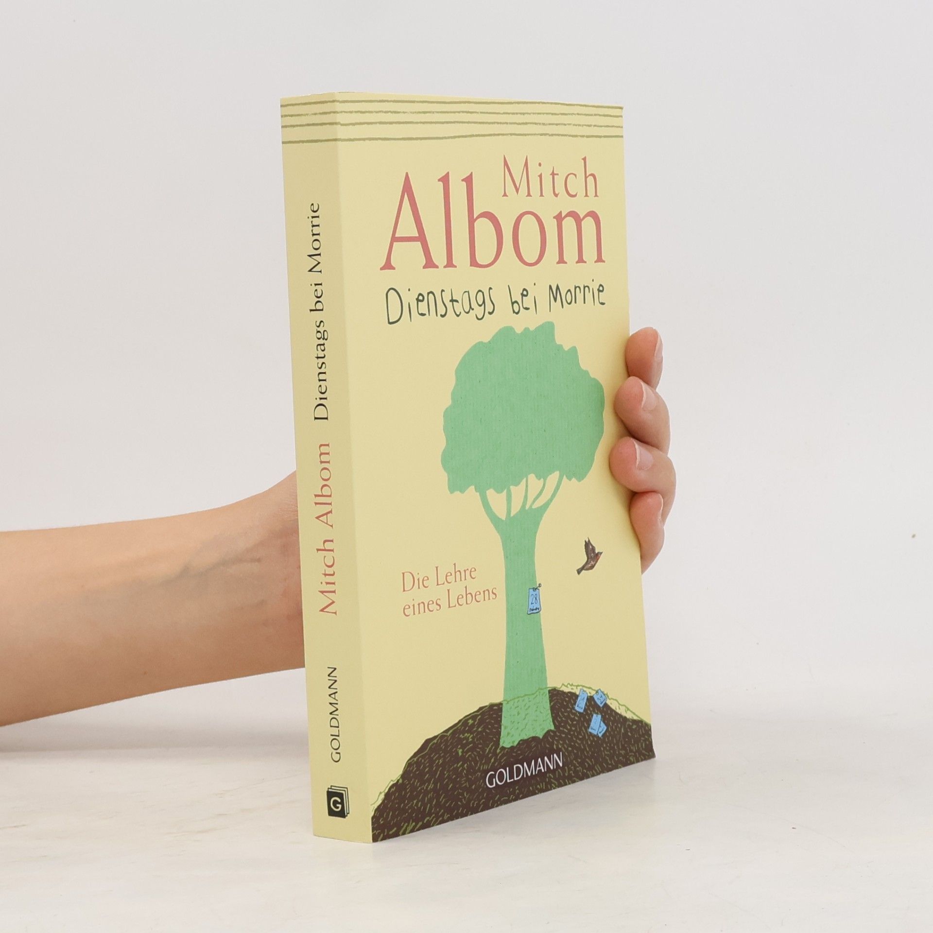 Mitch Albom Dienstags bei Morrie