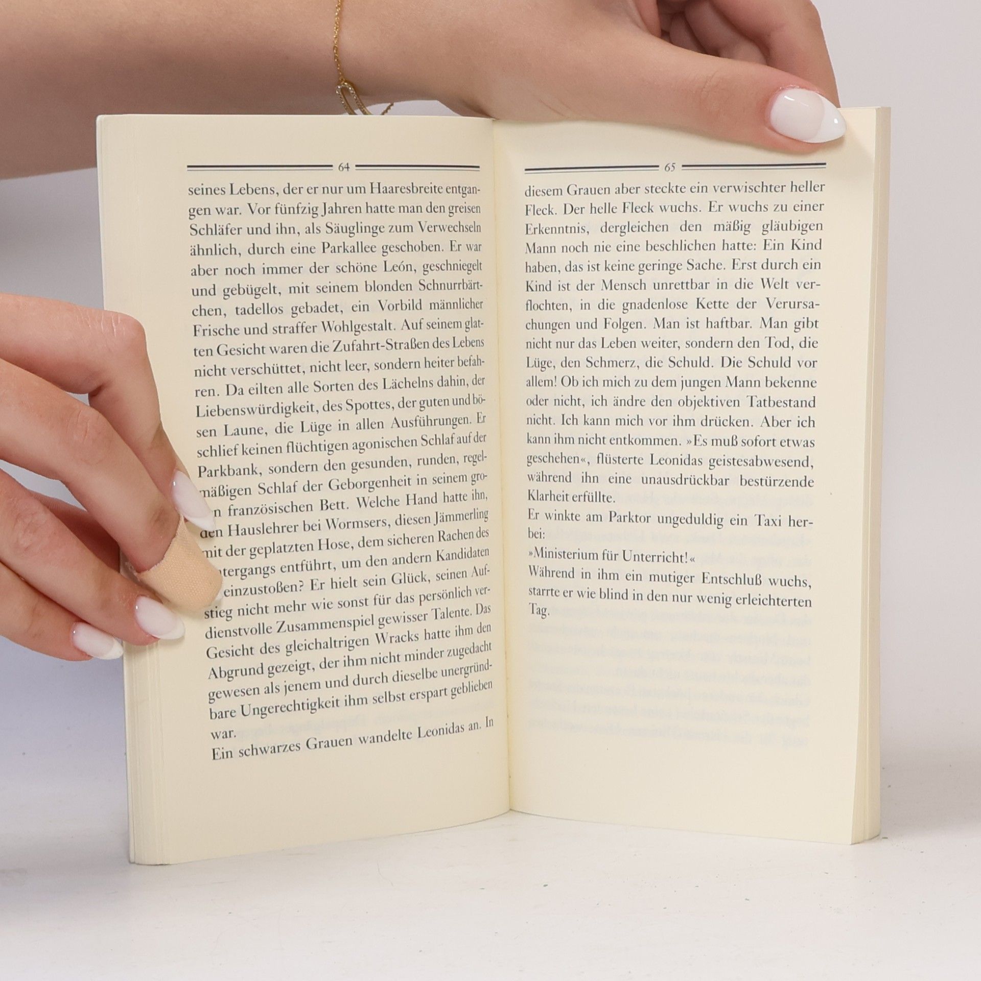 Franz Werfel Eine blaßblaue Frauenschrift