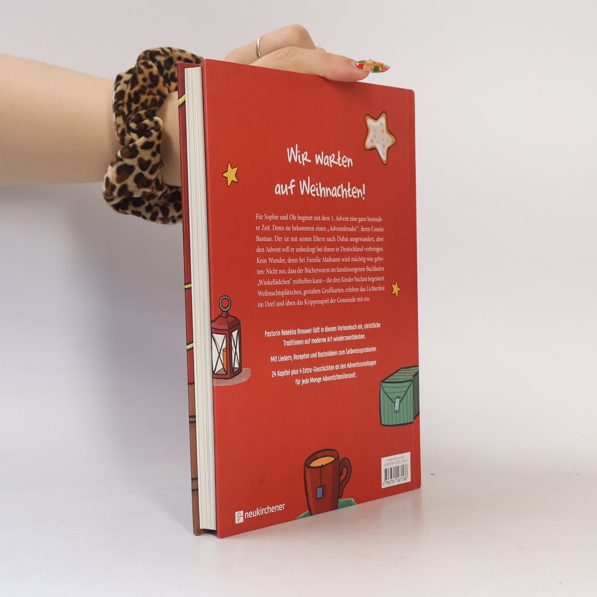Joy Katzmarzik Adventsgeschwister. Mit Sophie, Ole und Bastian durch die schönste Zeit im Jahr. Ein Adventskalender für die ganze Familie