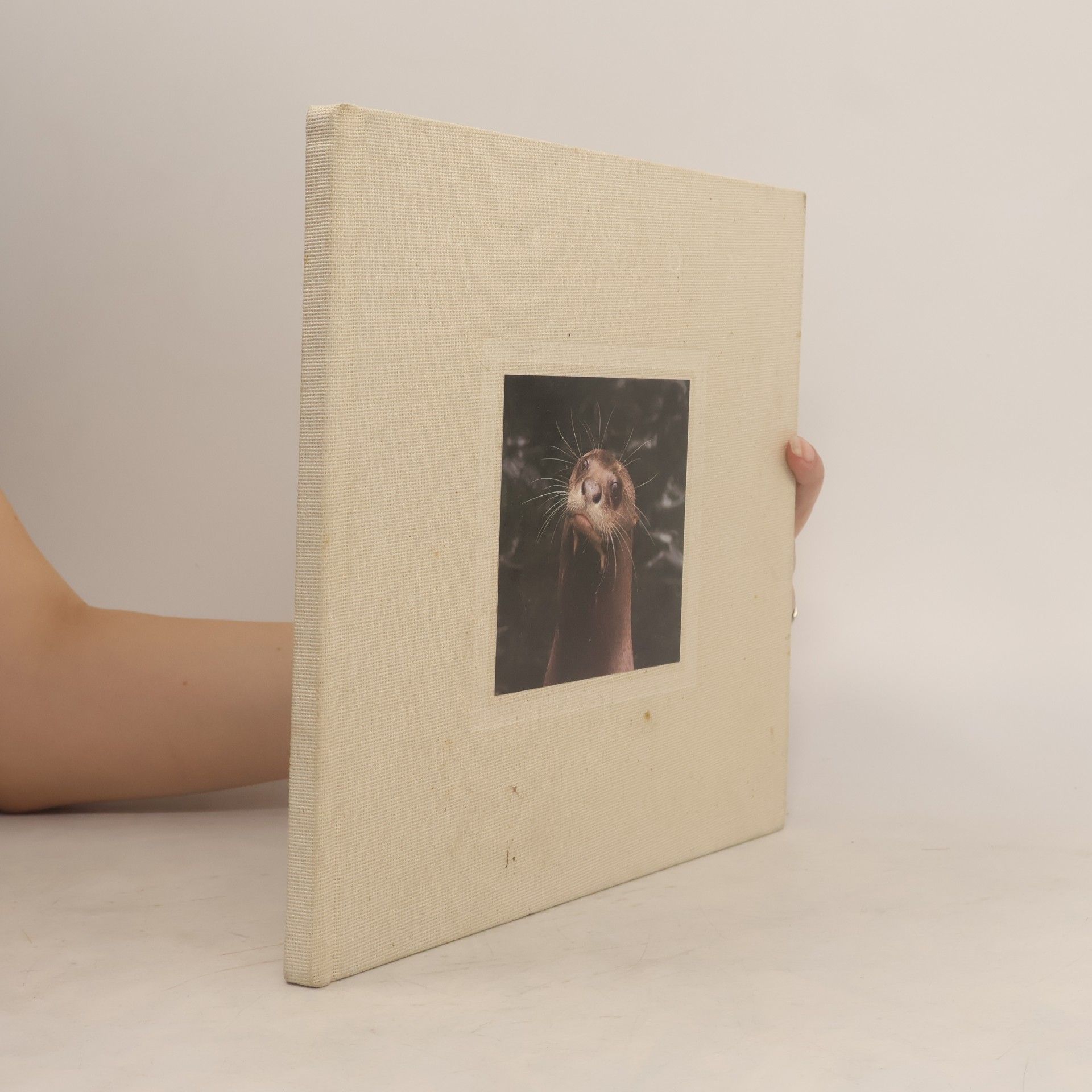 Autorenkollektiv Wildlife as Canon Sees It. A photographic heritage for all generations