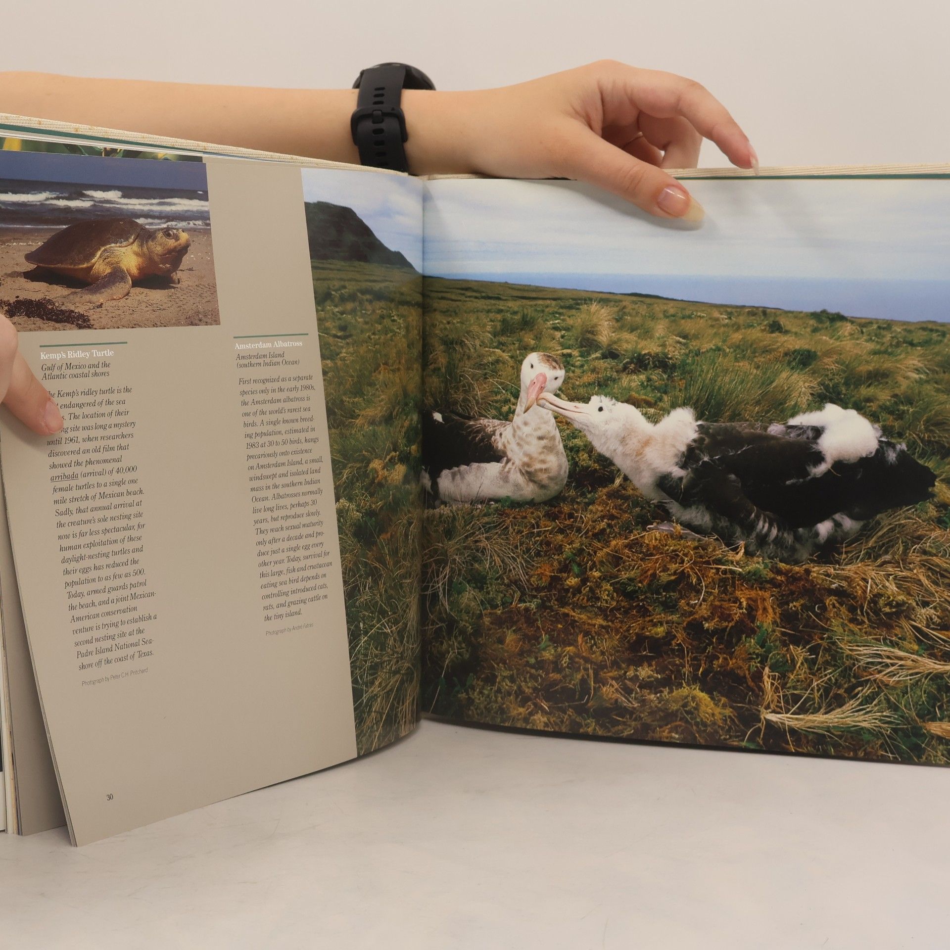 Autorenkollektiv Wildlife as Canon Sees It. A photographic heritage for all generations