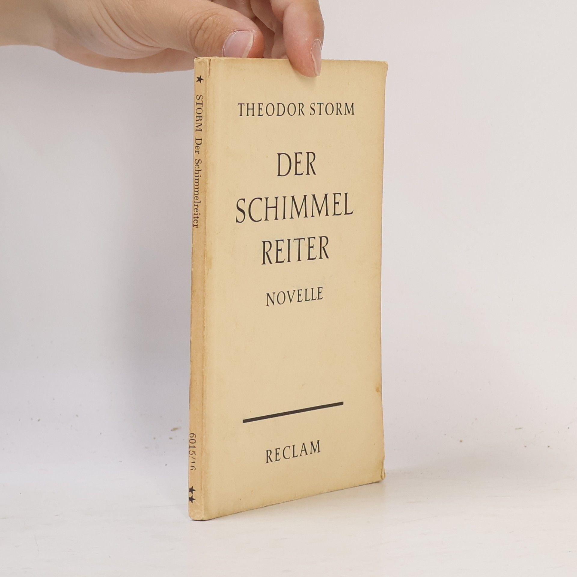 Der Schimmelreiter