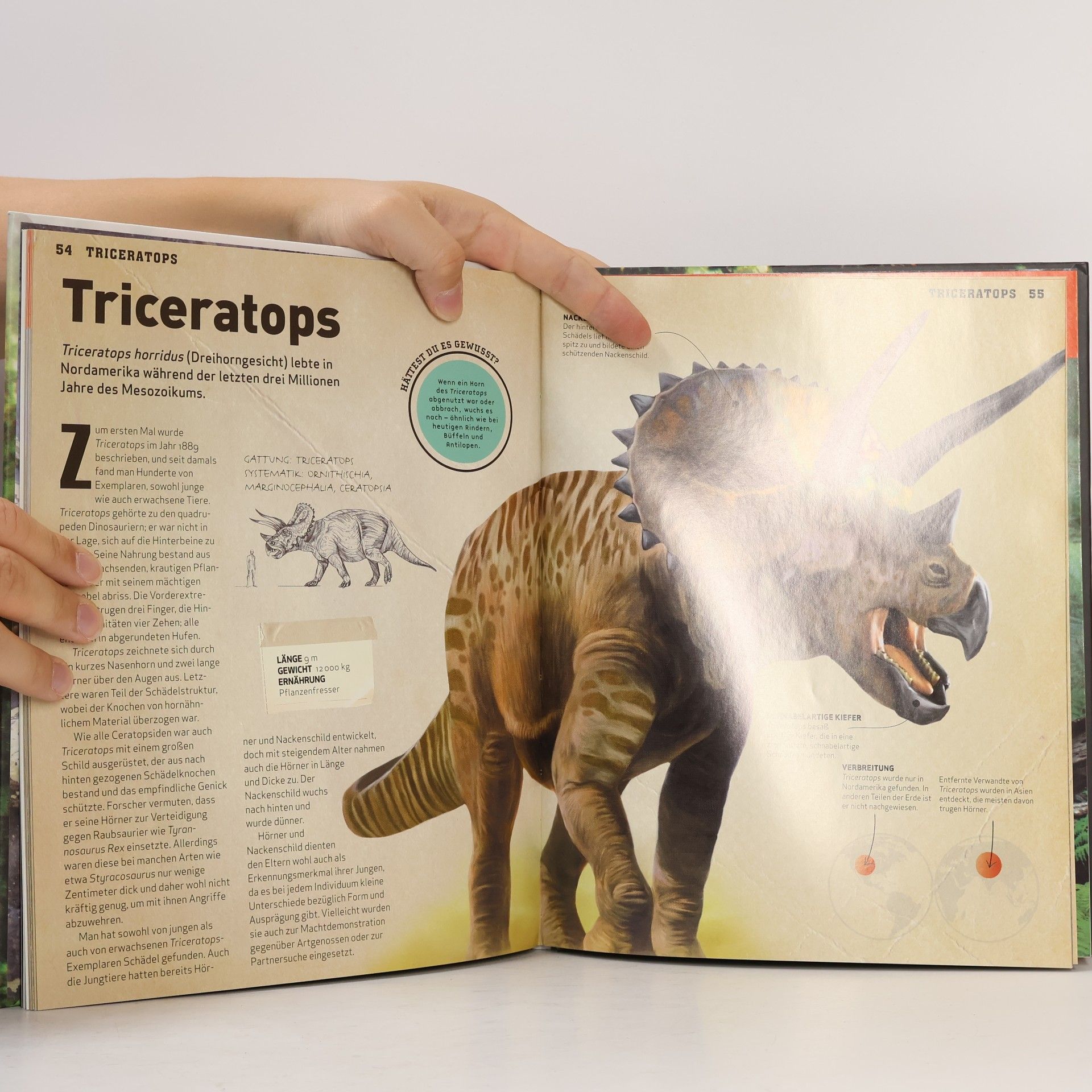 Autorenkollektiv Dinosaurier. Reise zu den Giganten der Vorzeit