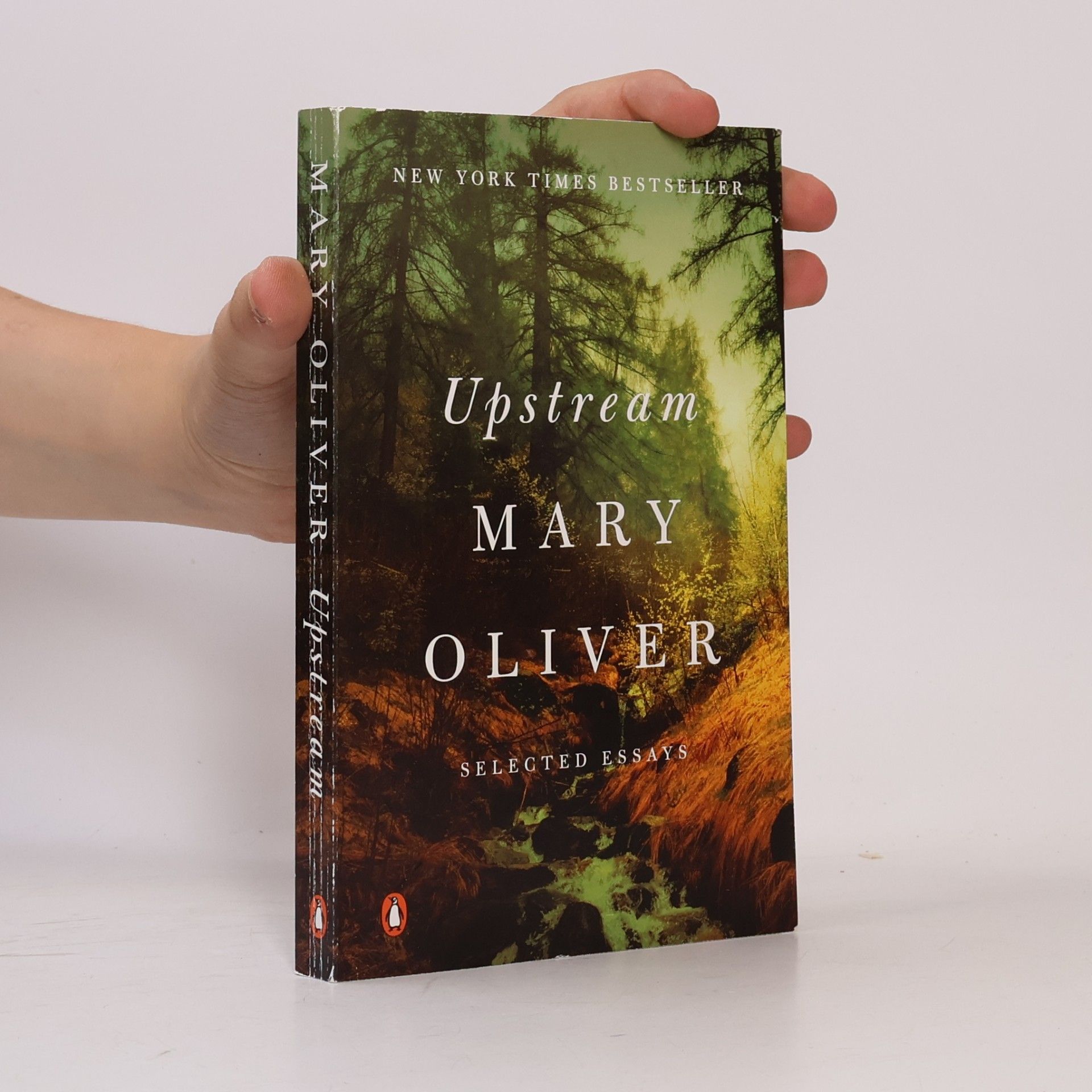 Mary Oliver Upstream