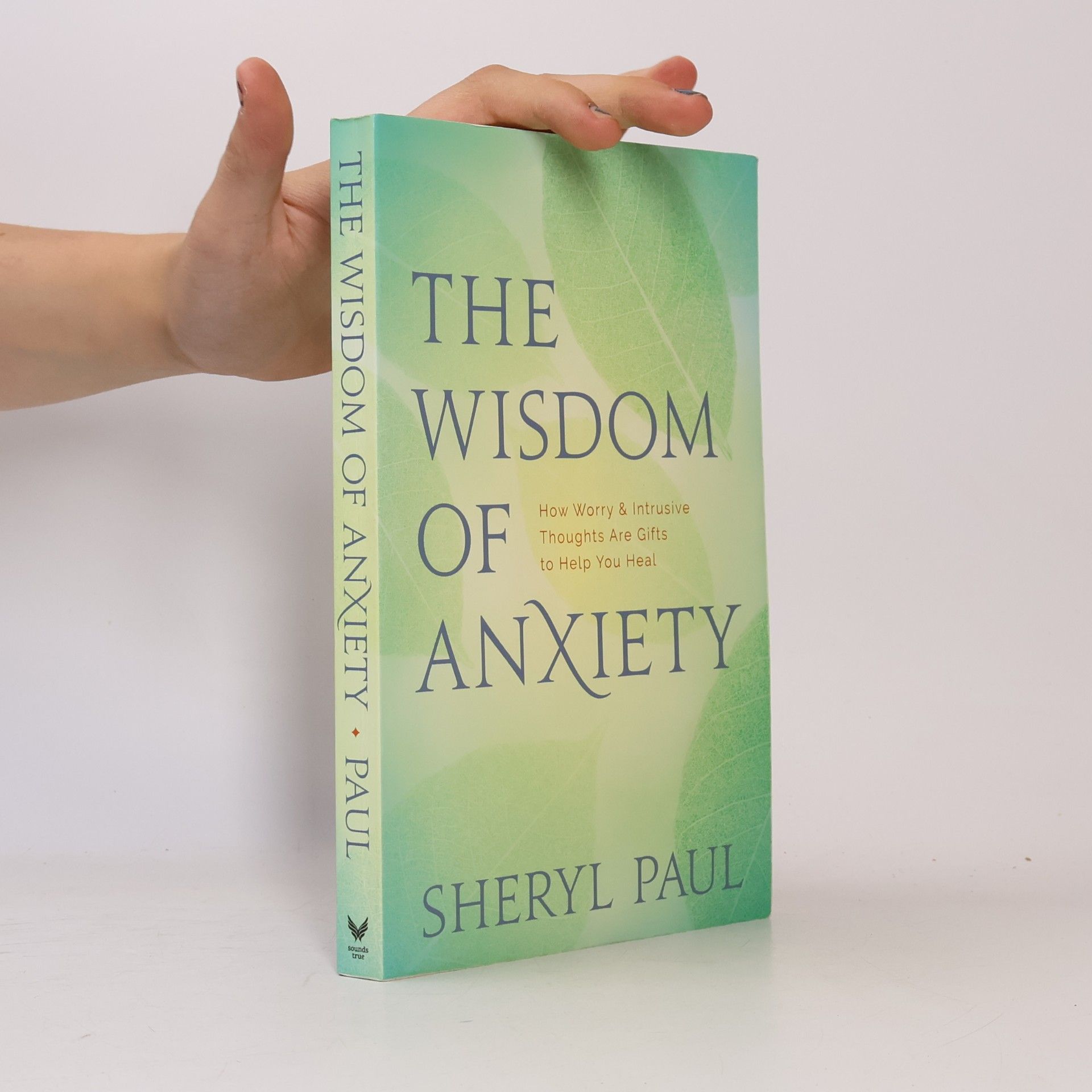 Sheryl Paul The Wisdom of Anxiety