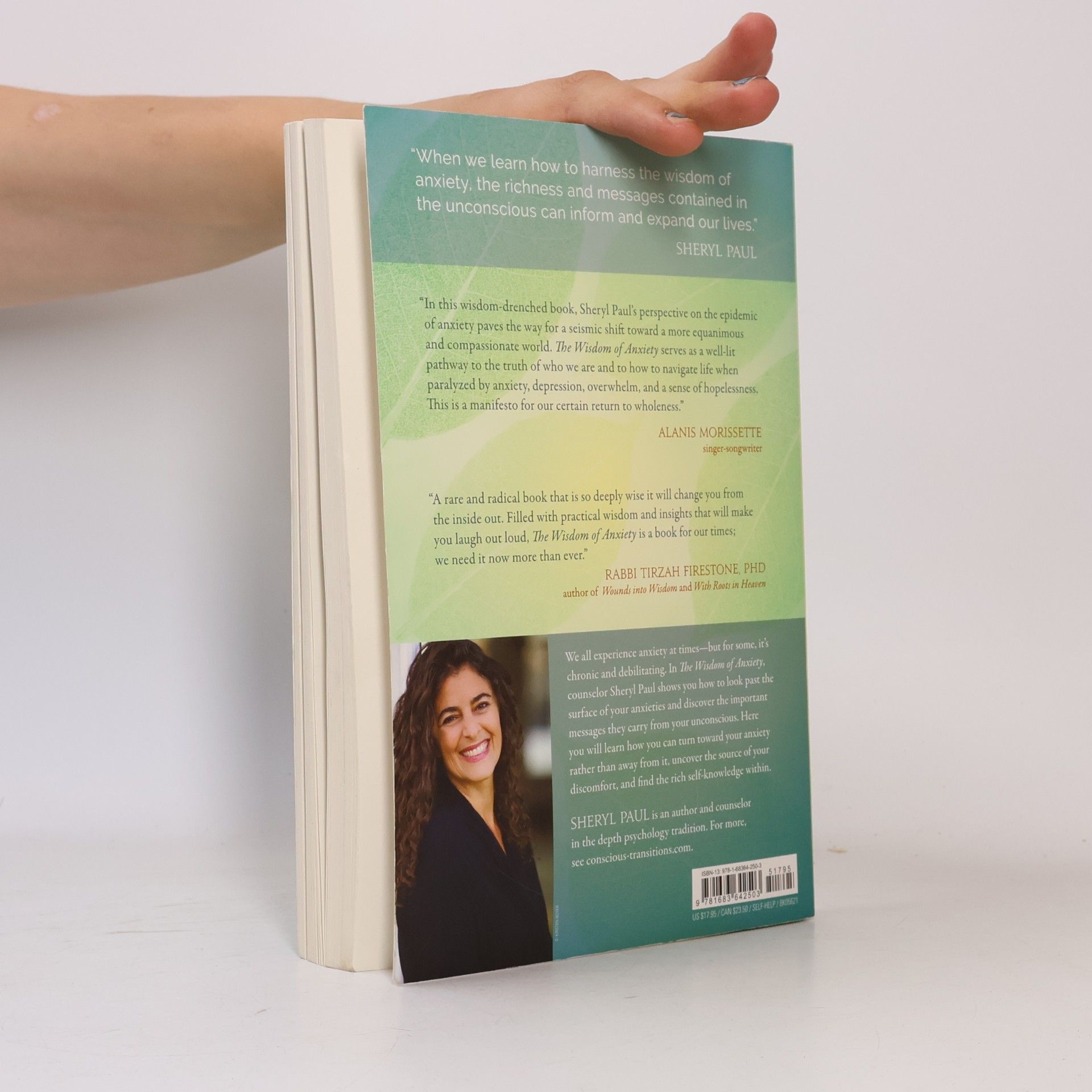 Sheryl Paul The Wisdom of Anxiety