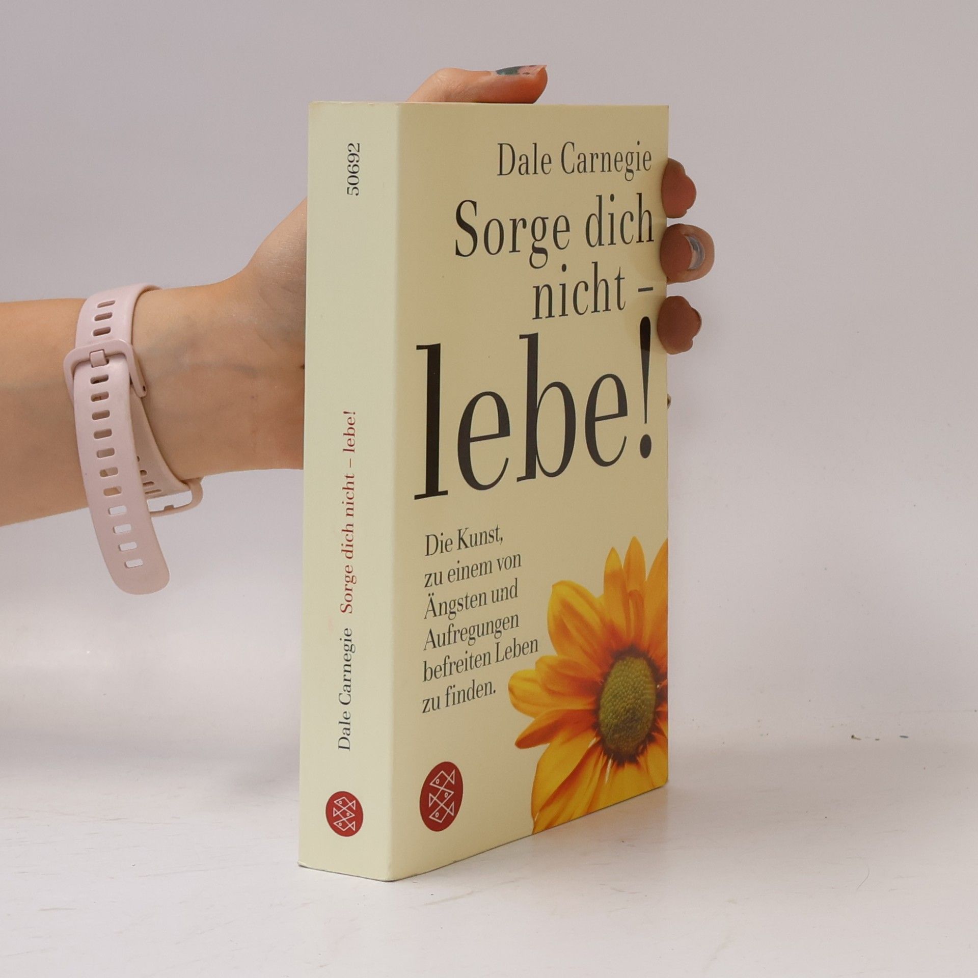 Dale Carnegie Sorge dich nicht - lebe!