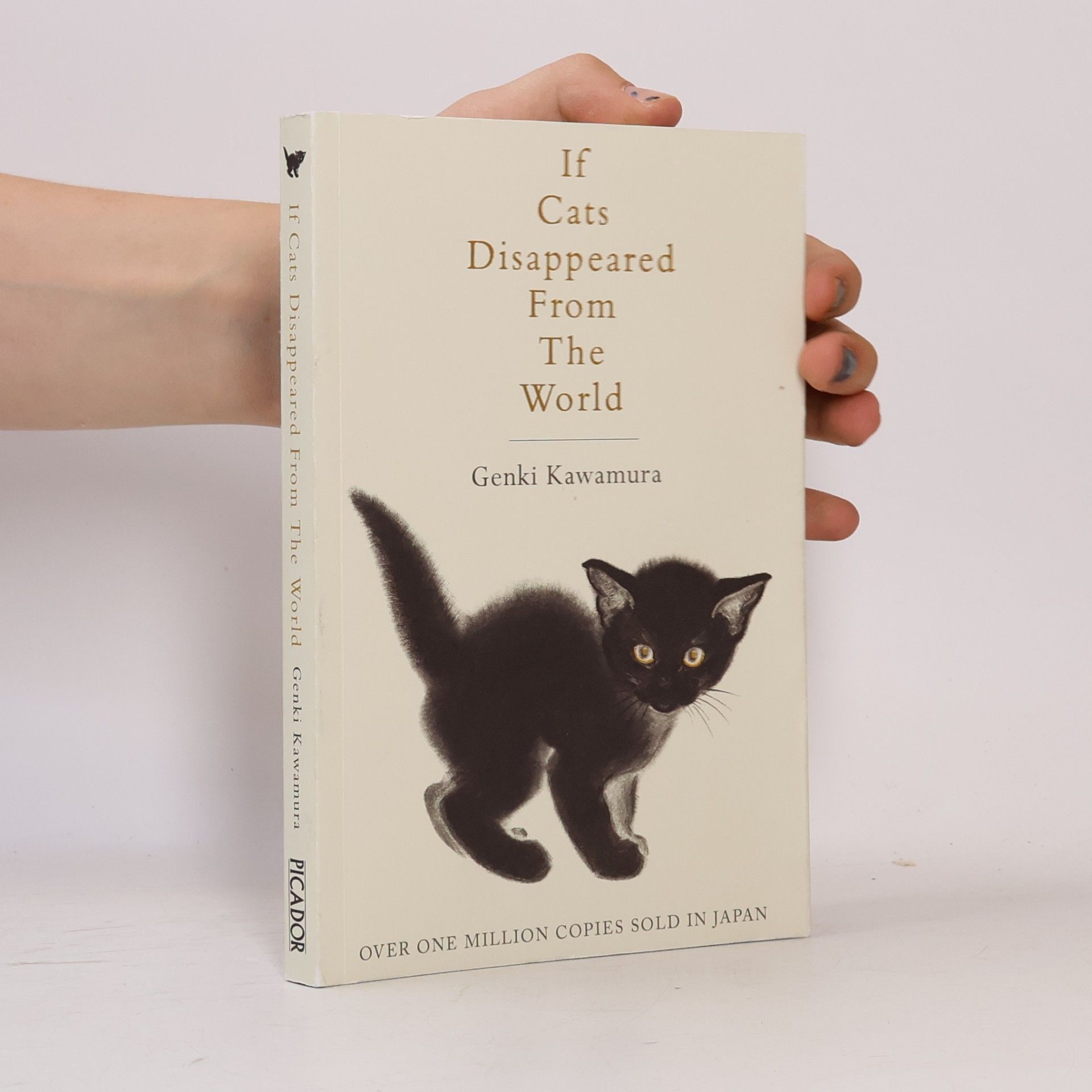 Genki Kawamura If Cats Disappeared from the World