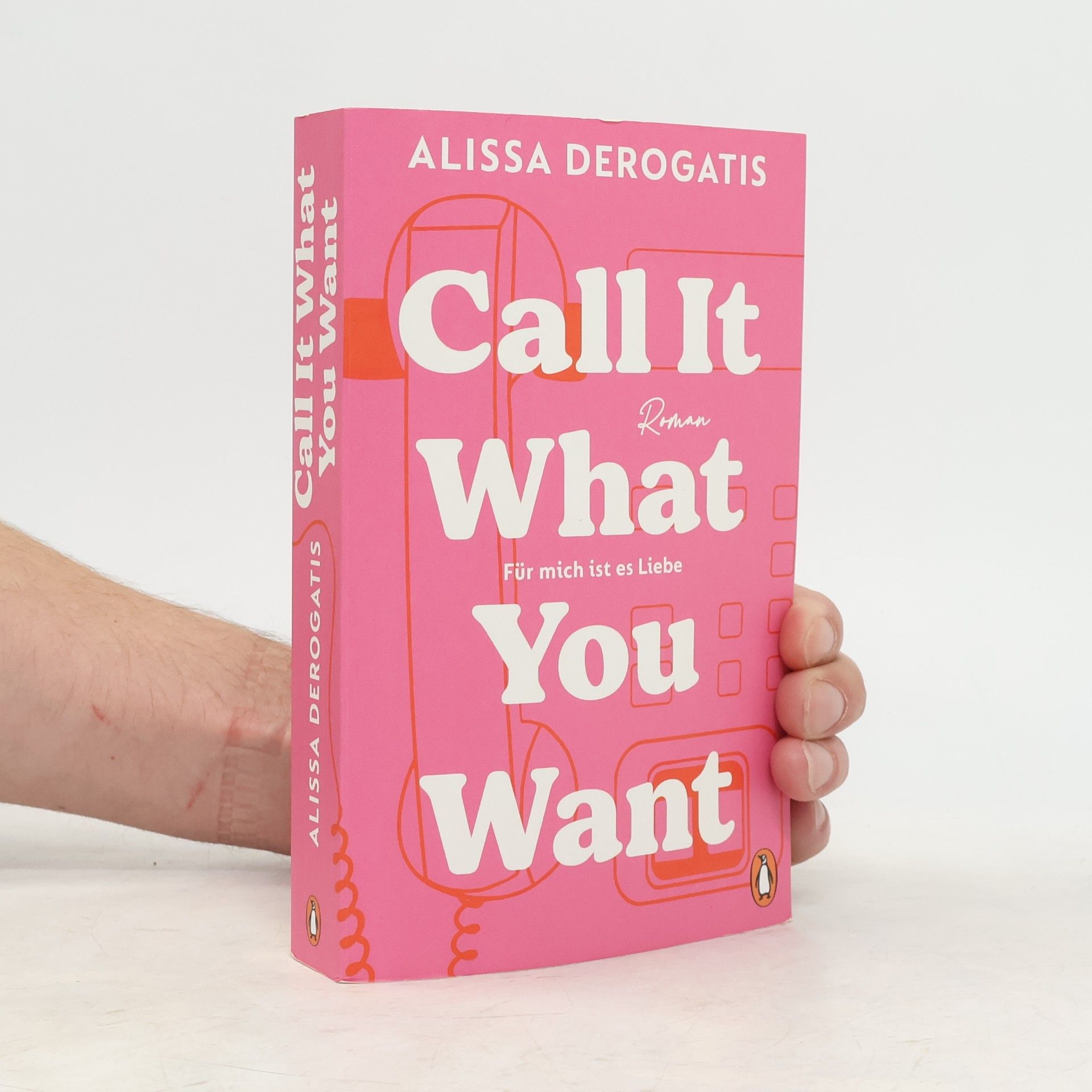 DeRogatis Alissa Call it what you want - Für mich ist es Liebe