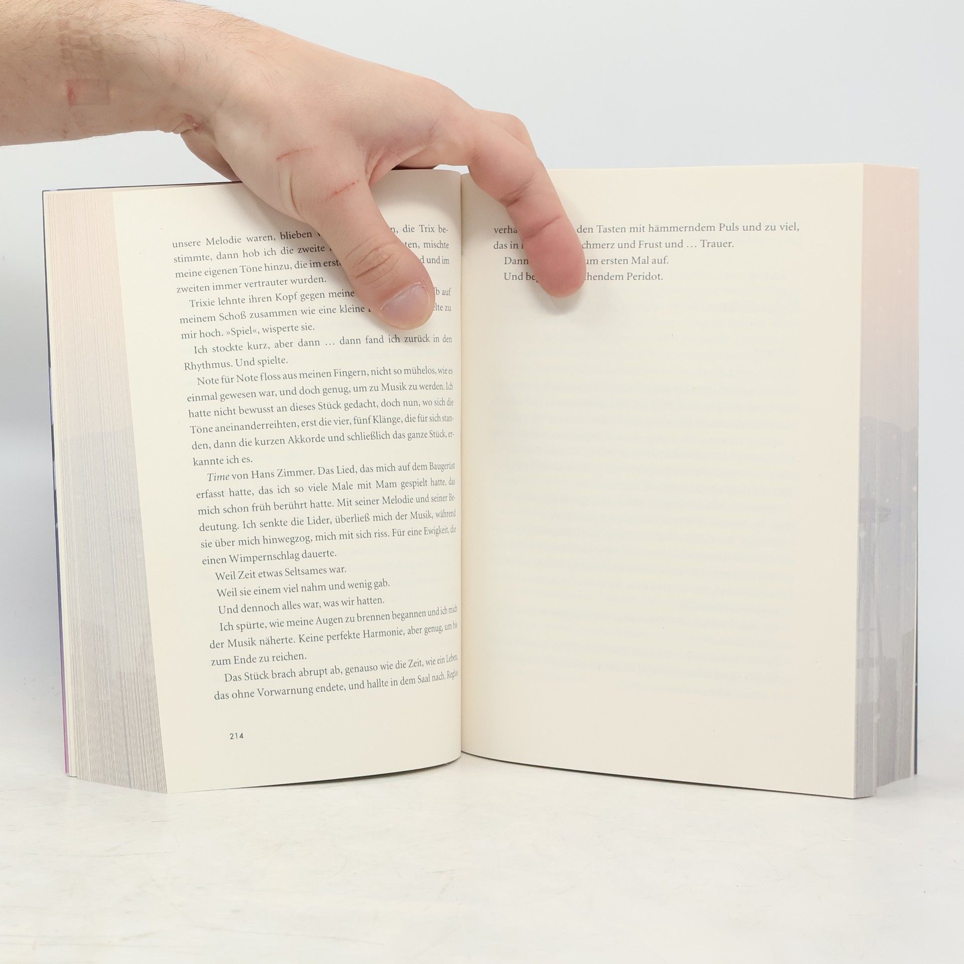 Alexandra Flint What We Lost / Lakestone Campus of Seattle Bd.2