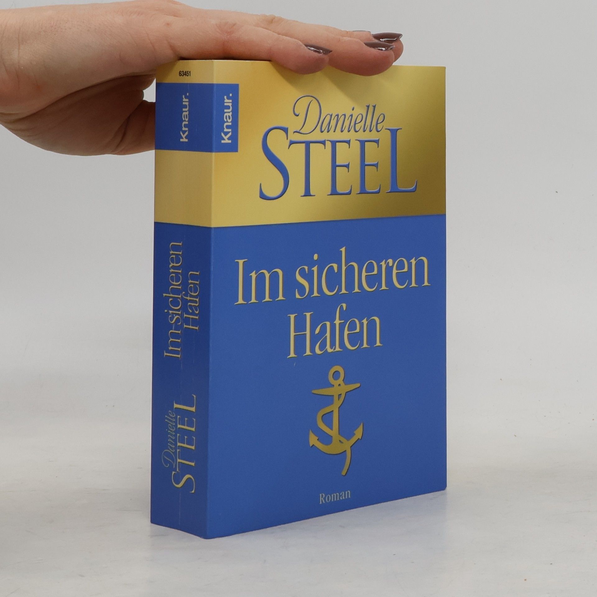 Danielle Steel Im sicheren Hafen