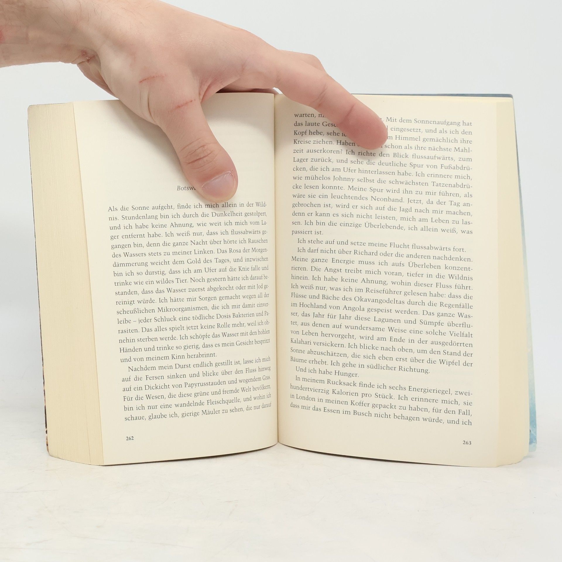 Tess Gerritsen Der Schneeleopard