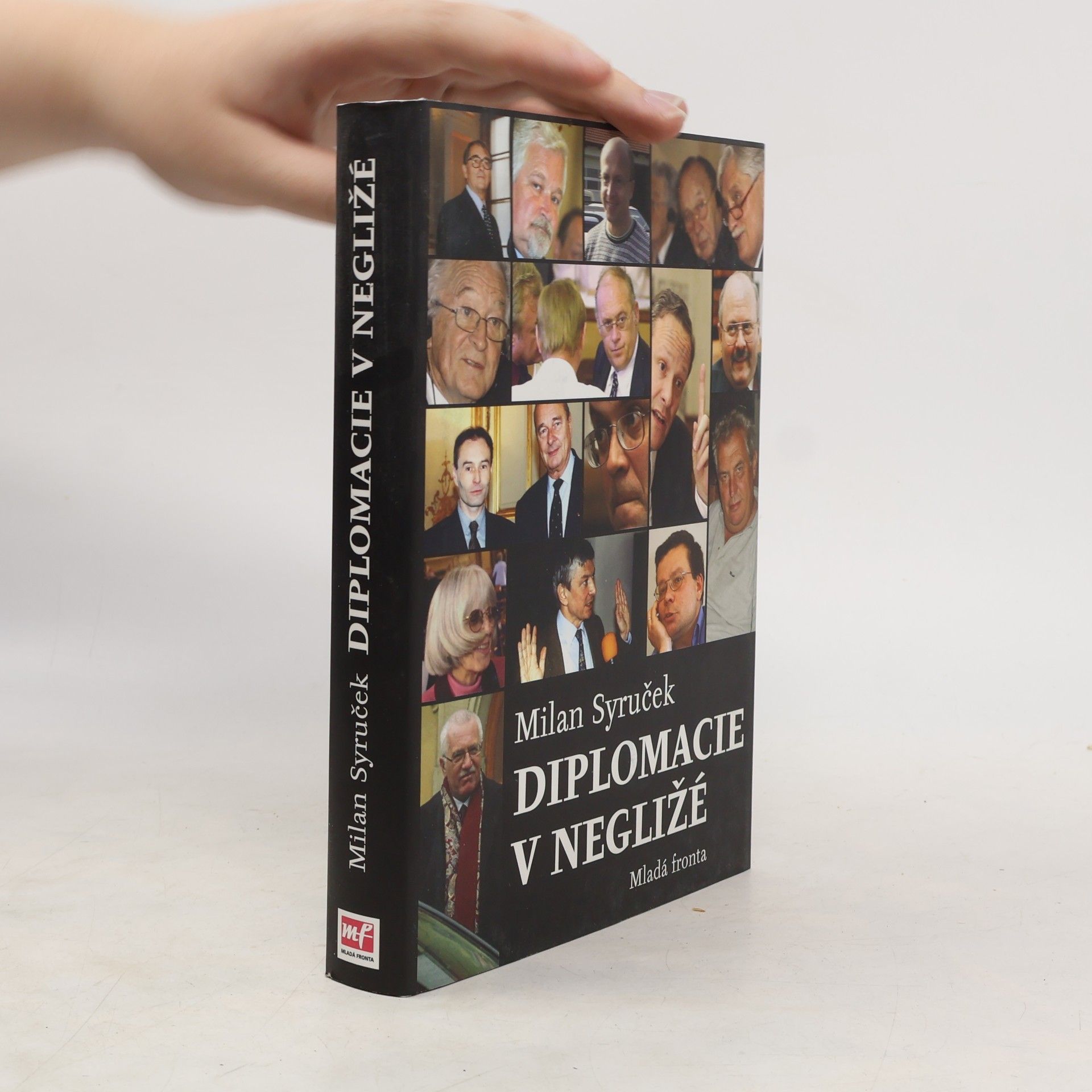 Diplomacie v negližé. Patnáct let naší zahraniční politiky