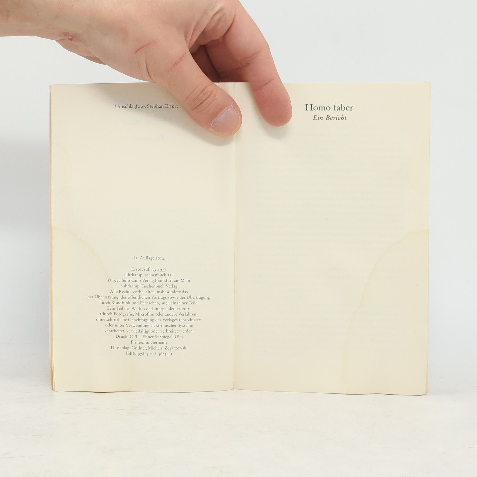 Max Frisch Homo faber