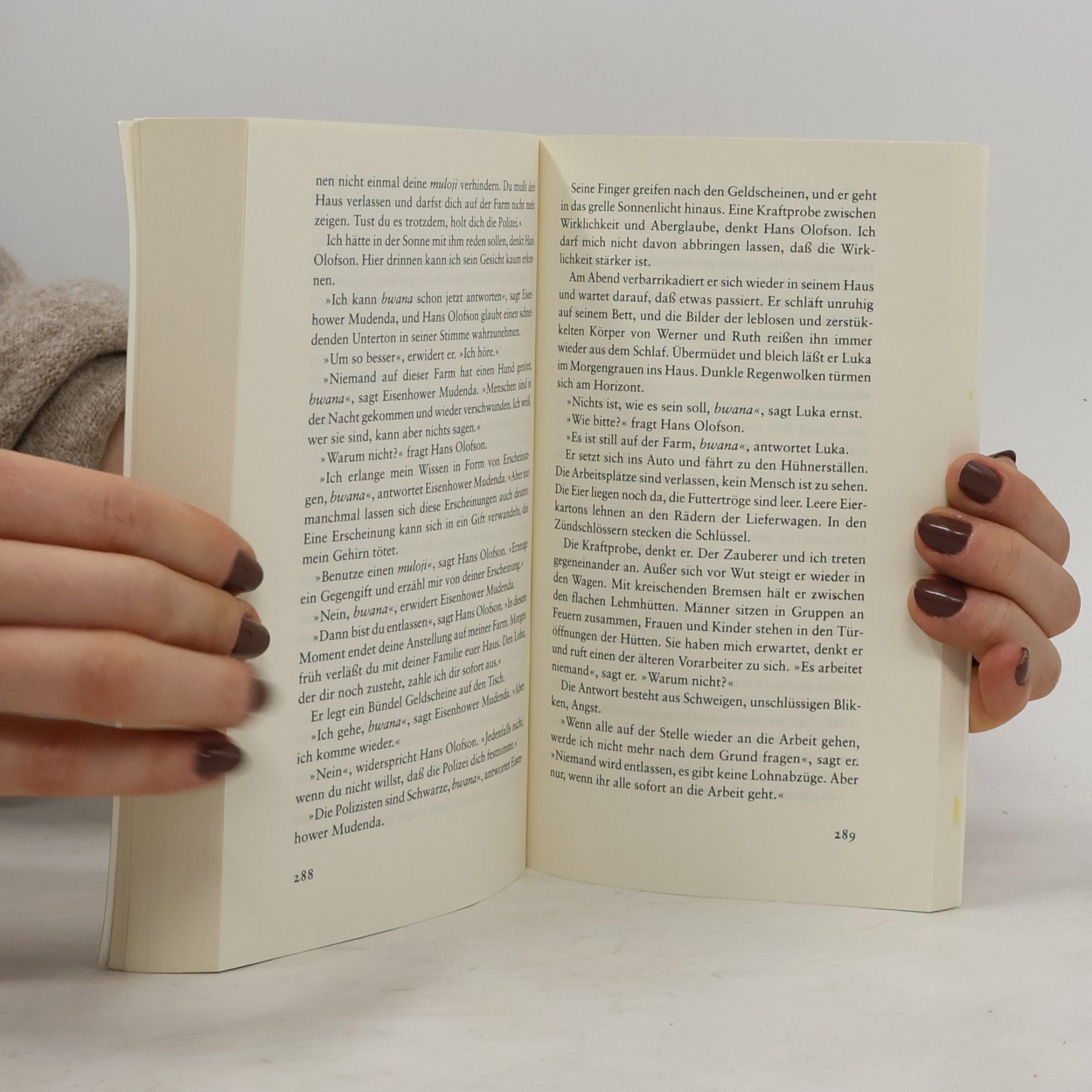 Henning Mankell Das Auge des Leoparden