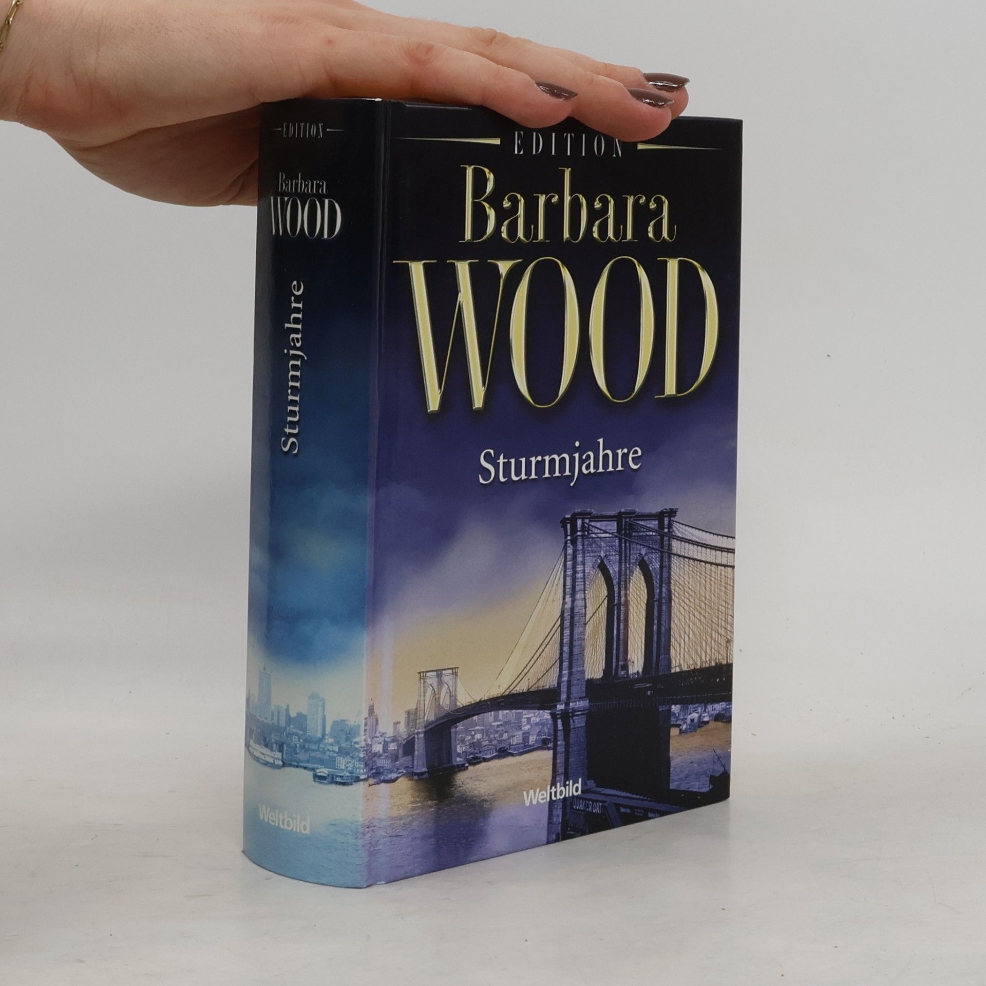 Barbara Wood Sturmjahre