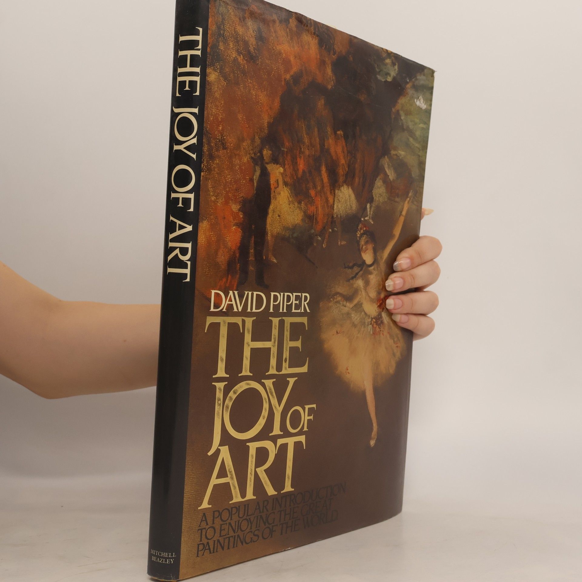 David Piper The Joy of Art
