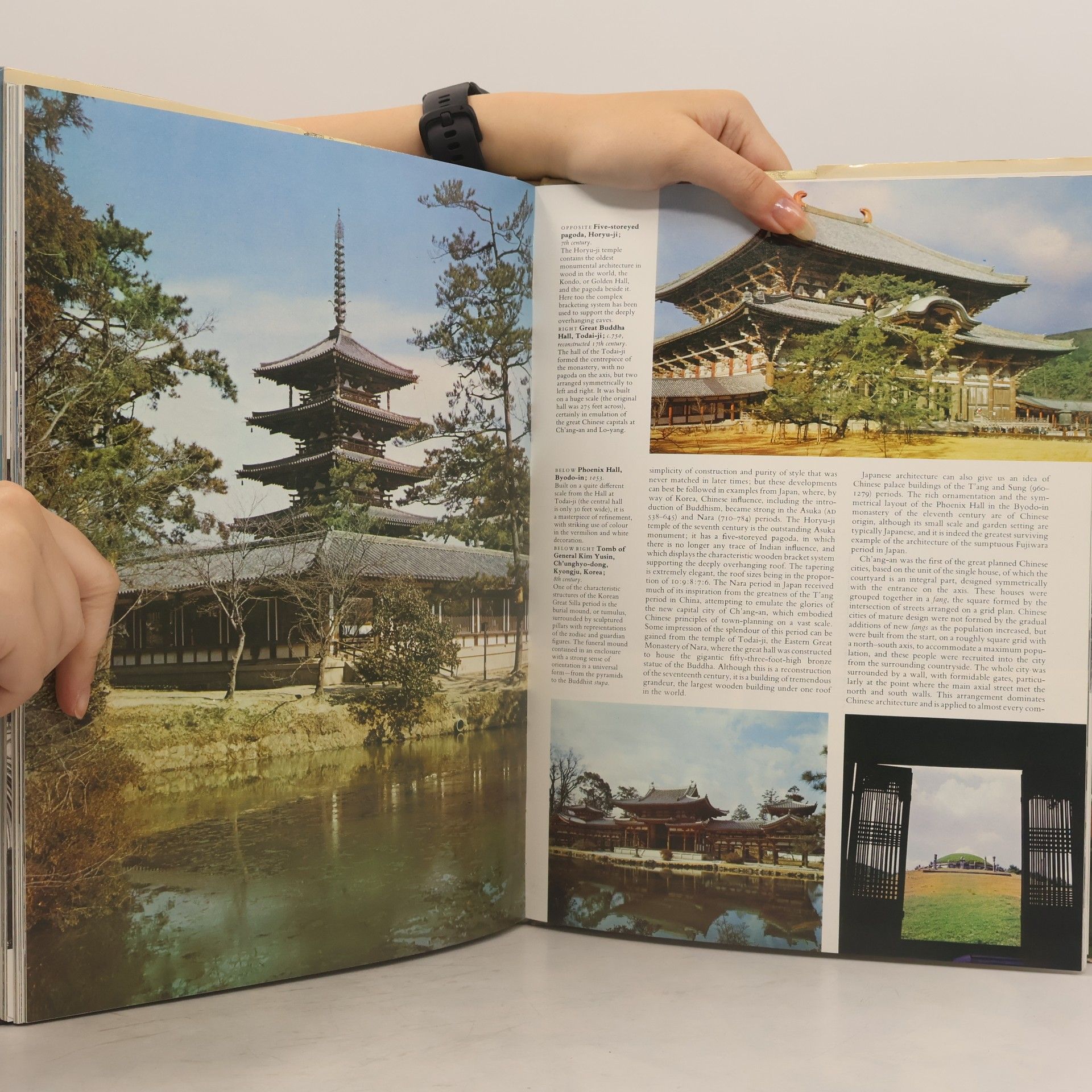 Michael Raeburn Architecture of the World