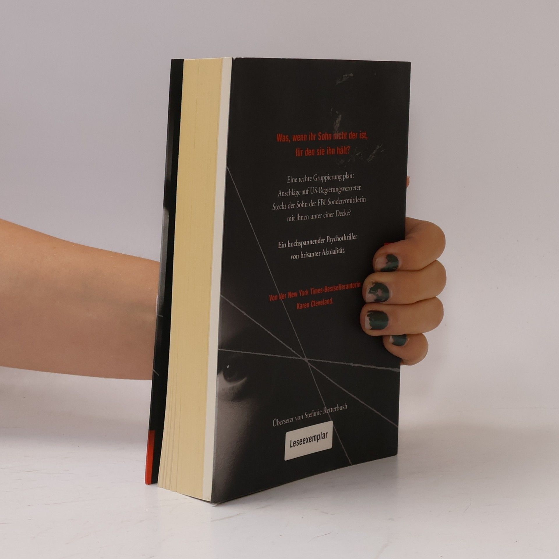 Karen Cleveland Eine Frage der Sicherheit