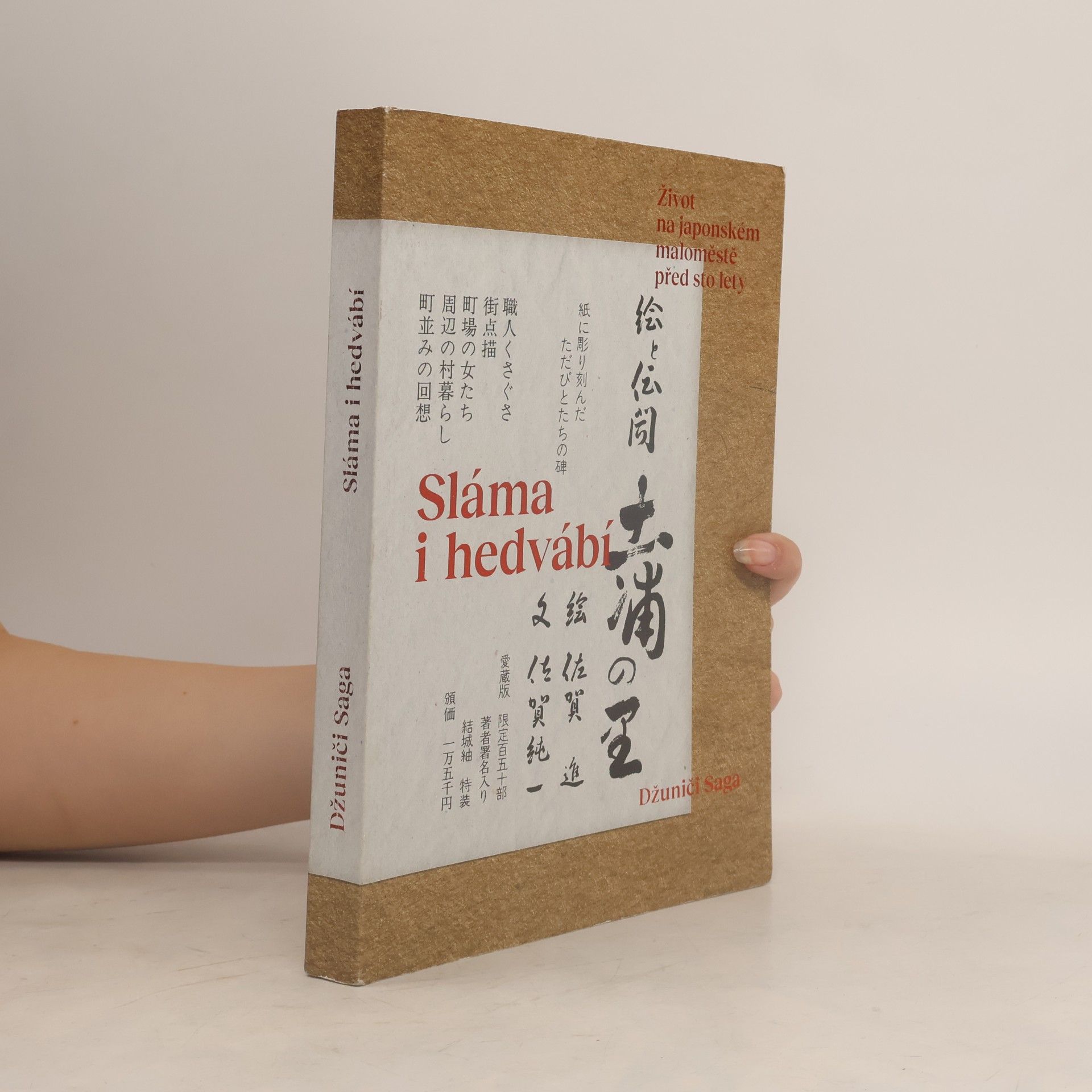 Jun’ichi Saga Sláma i hedvábí: Život na japonském maloměstě před sto lety