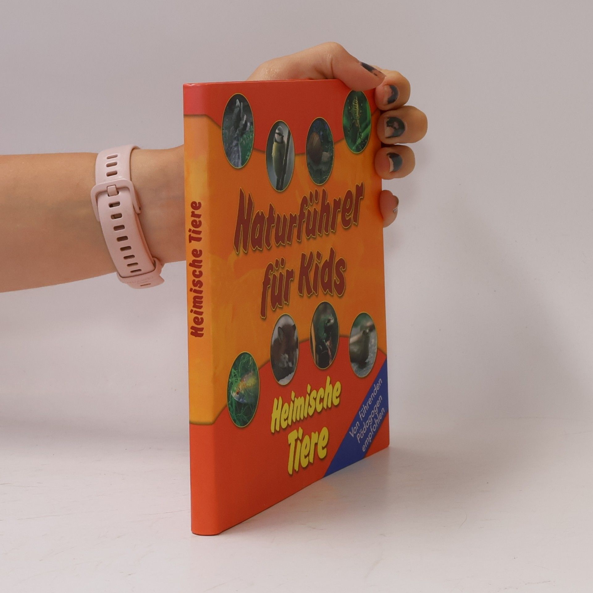 Autorenkollektiv Naturführer für Kids