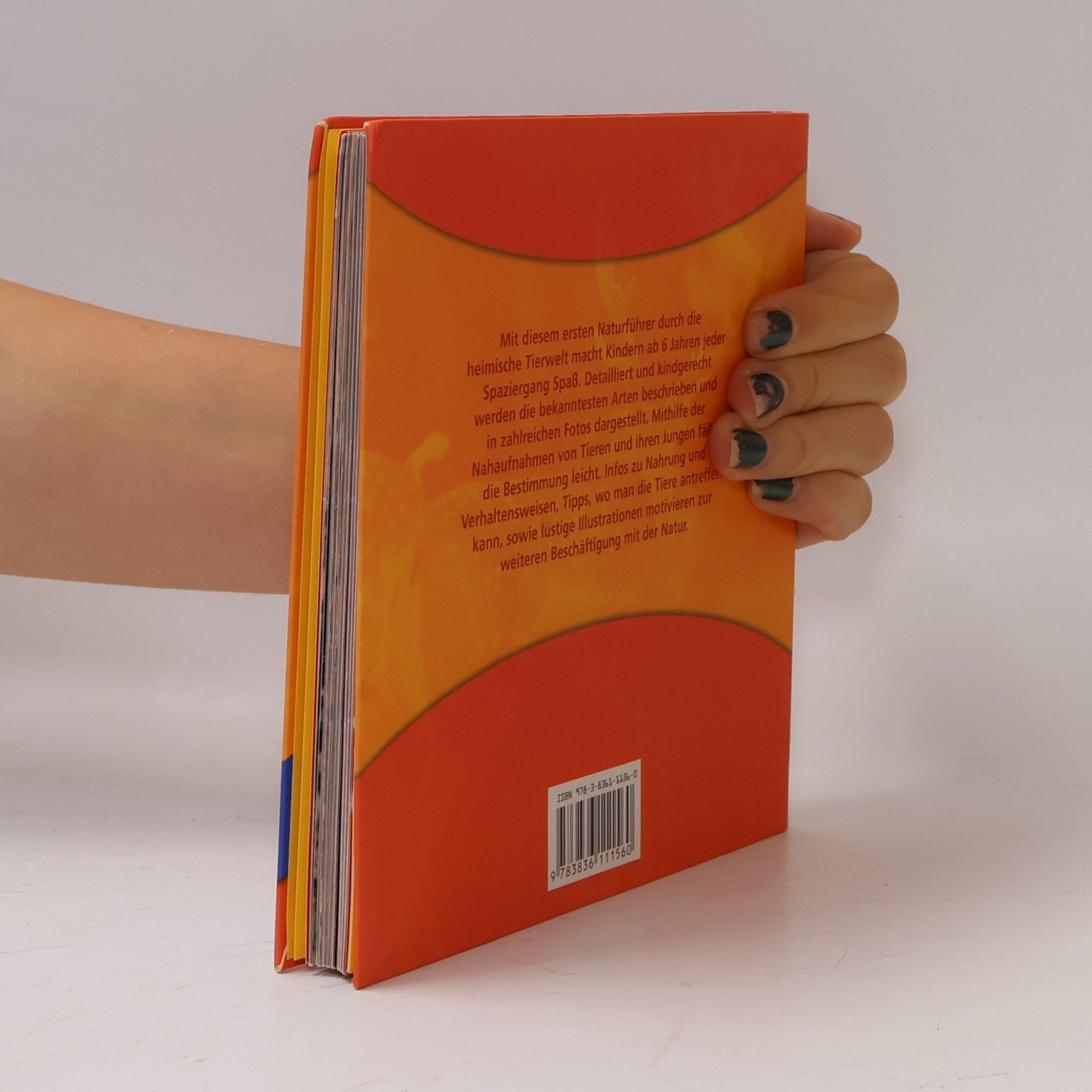 Autorenkollektiv Naturführer für Kids