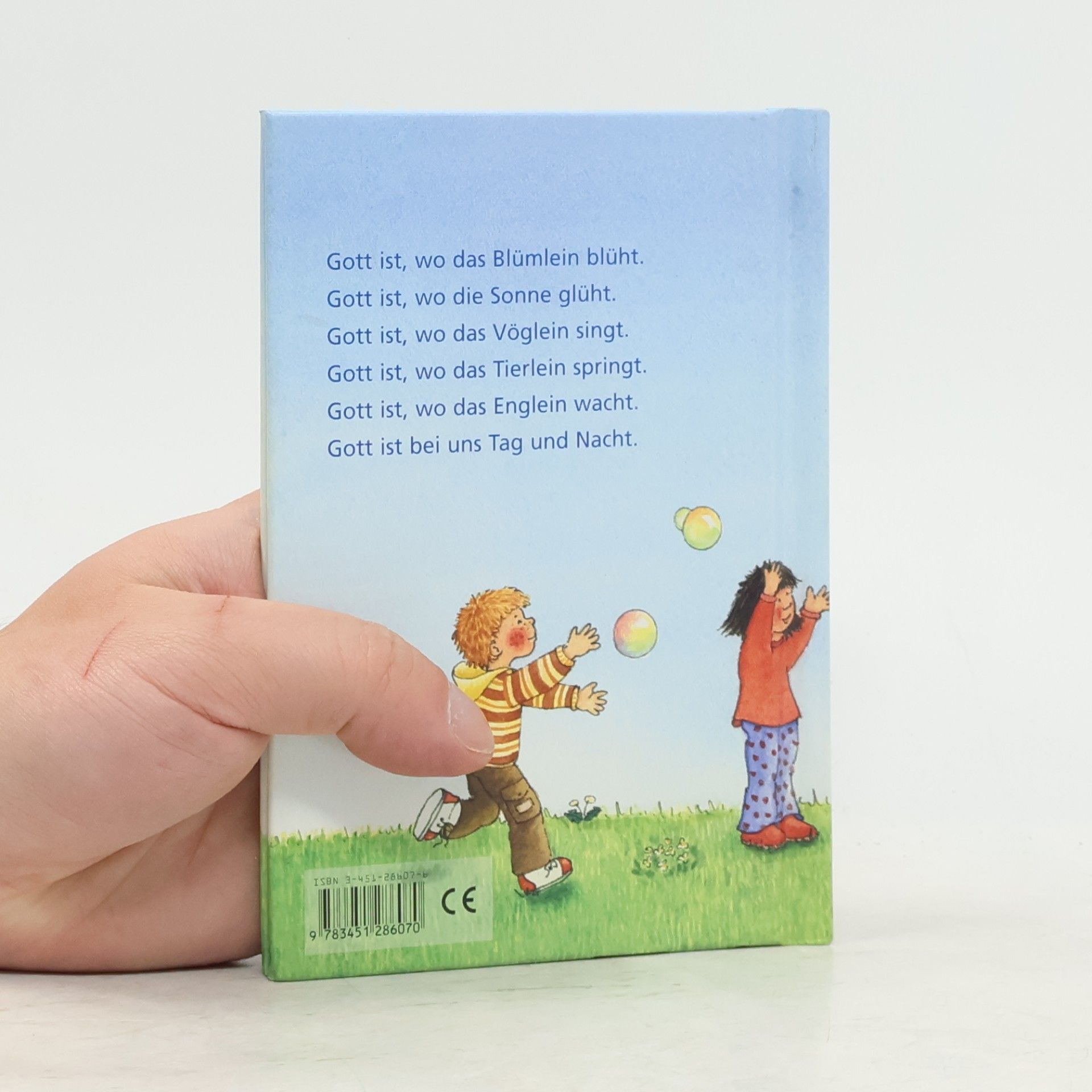 Sylvia Müller Lieber Gott, behüte mich