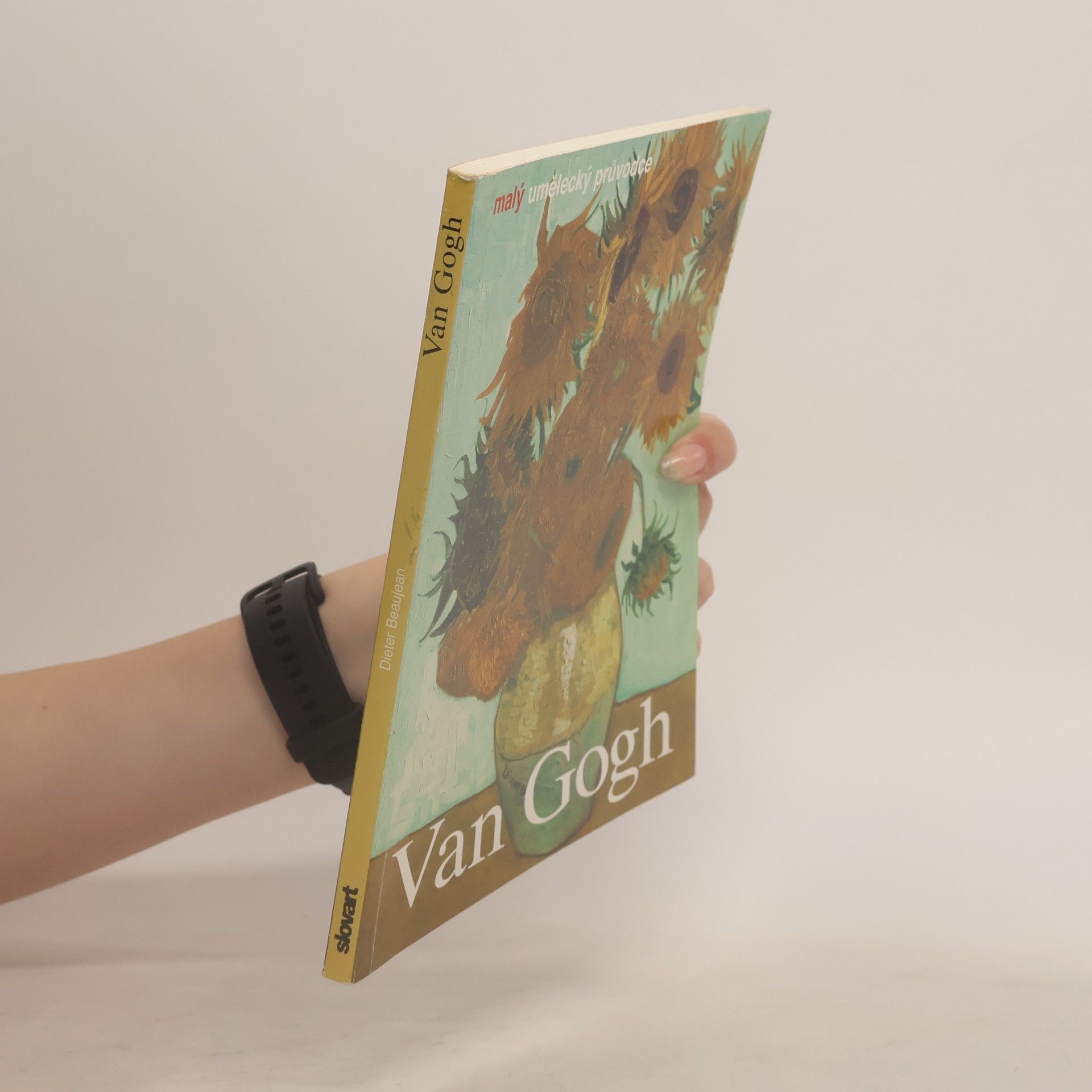 Dieter Beaujean Vincent van Gogh. Život a dílo