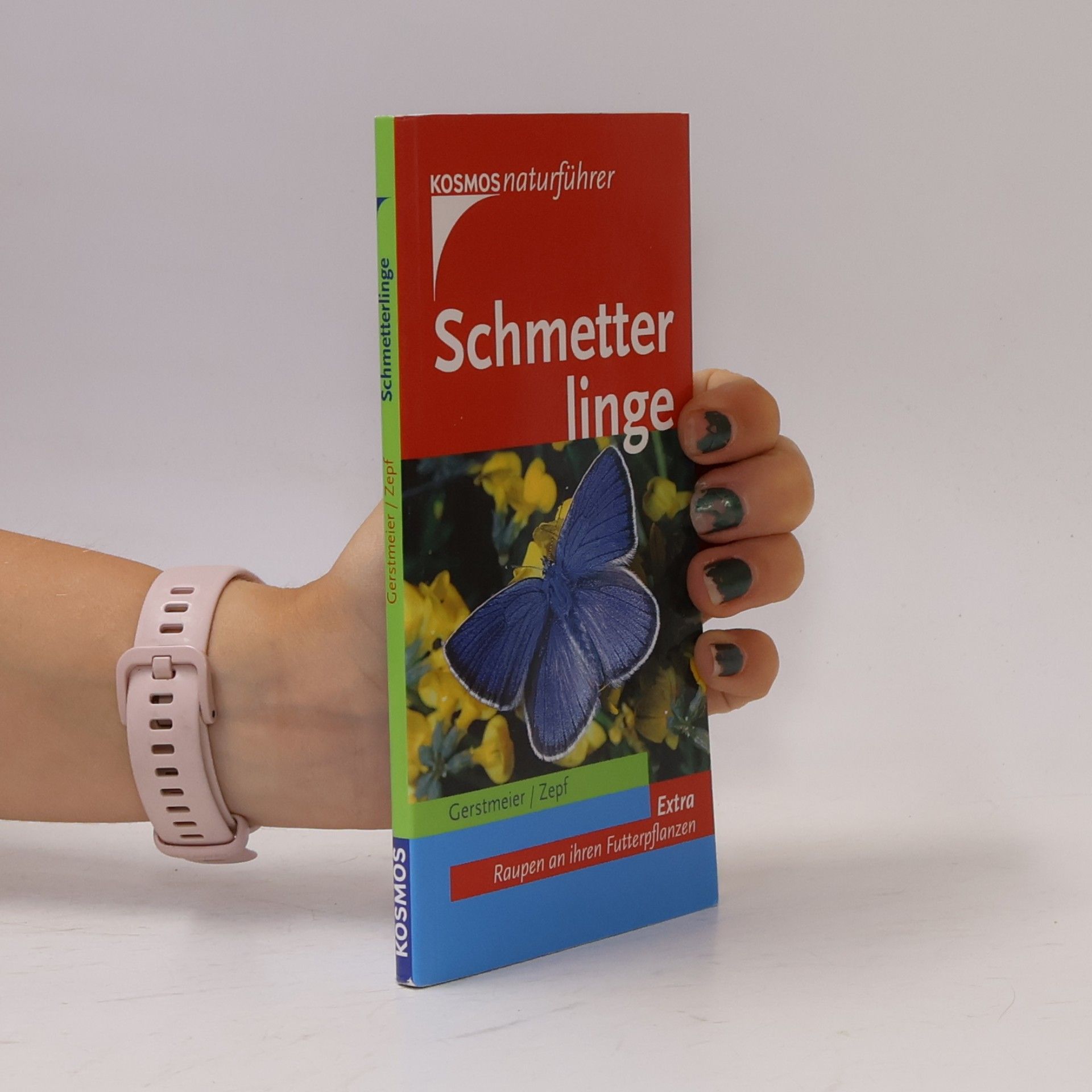 Schmetterlinge