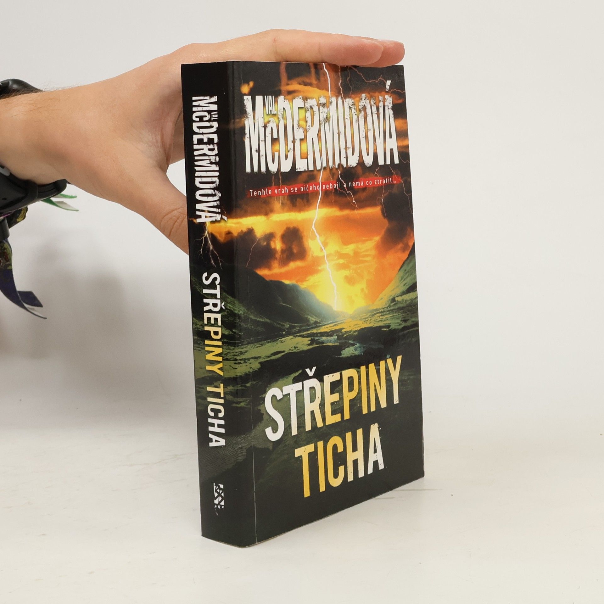 Val McDermid Střepiny ticha