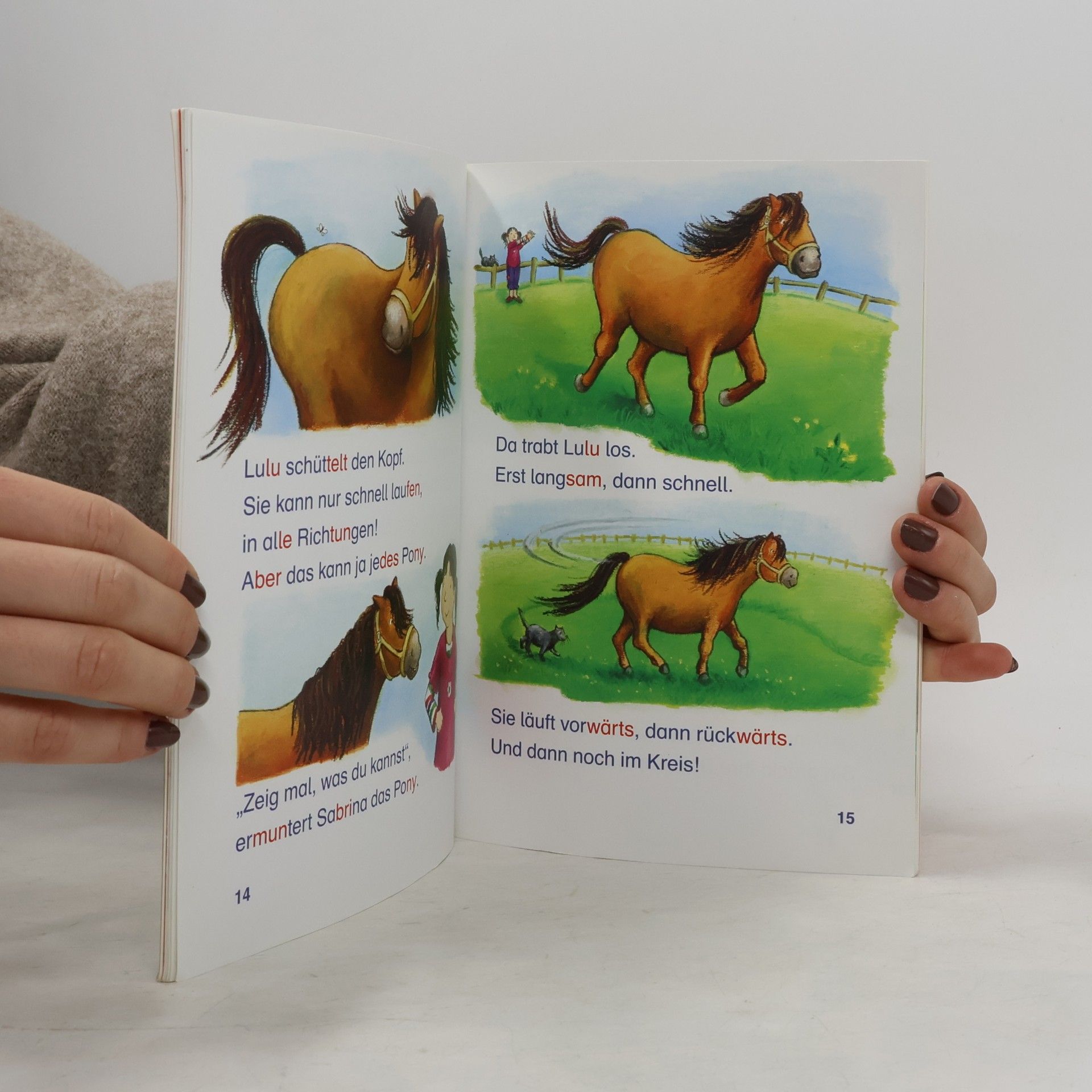 Doris Arend Das tollste Pony der Welt, Schulausgabe