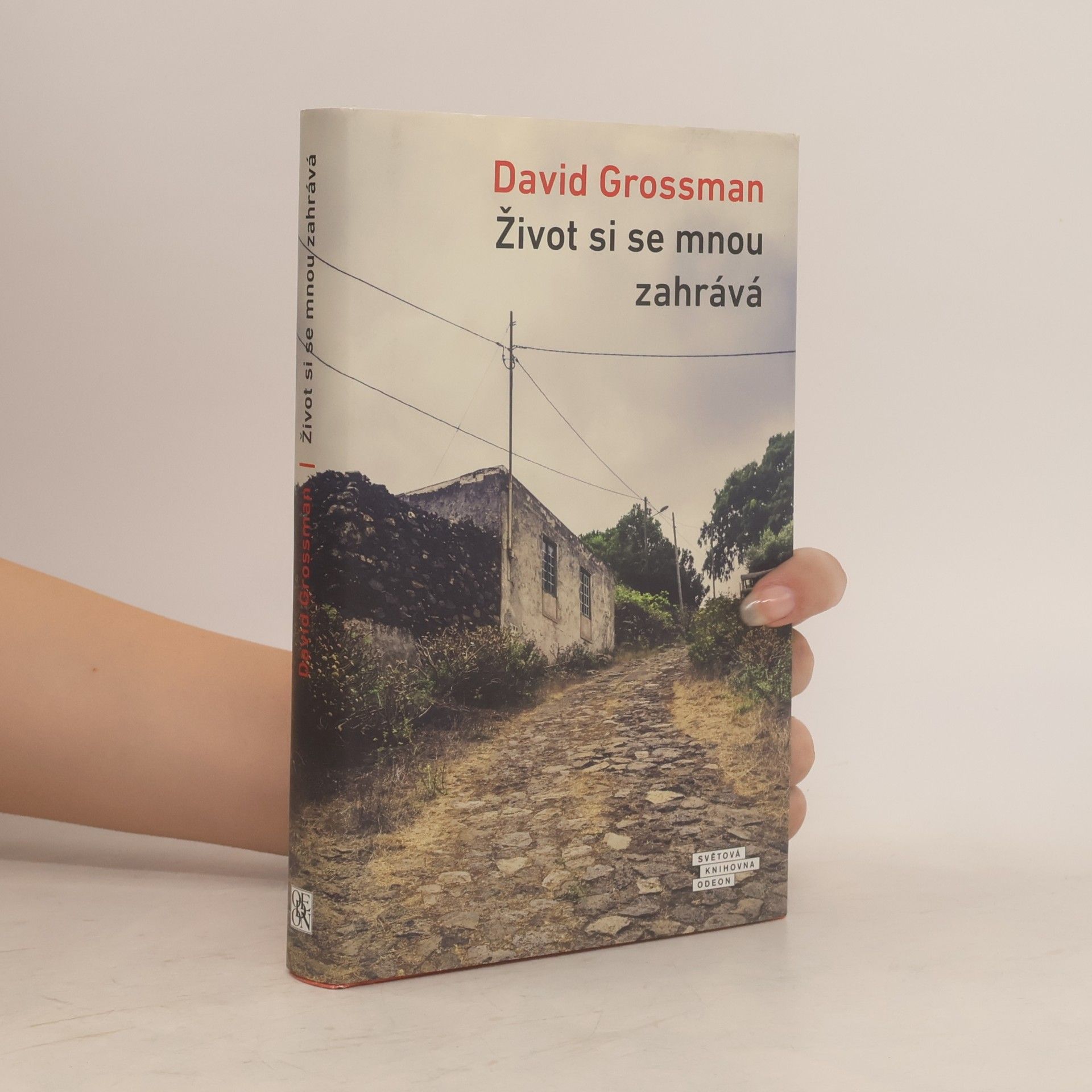 David Grossman Život si se mnou zahrává