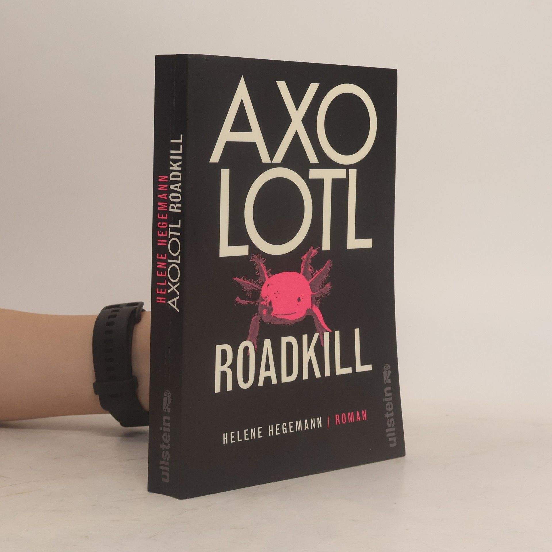 Helene Hegemann Axolotl Roadkill : Roman
